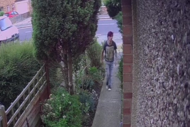 garden gnome theft appeal