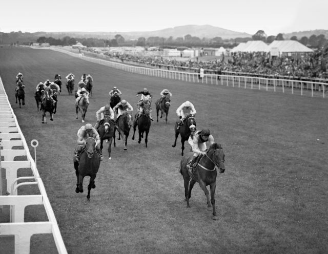 Ribocco won the 1967 Irish Derby for Fulke Johnson Houghton and Lester Piggott