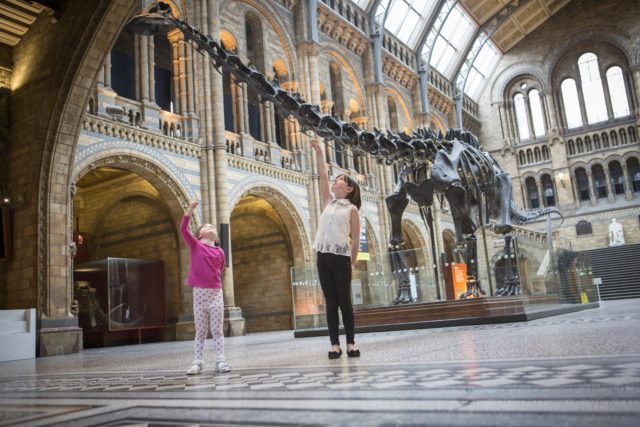 Dippy the Diplodocus used to greet visitors to the Natural History Museum in London (Trustees of the Natural History Museum/PA)