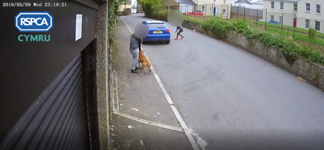 Harrowing CCTV footage showed the attack (RSPCA/PA)
