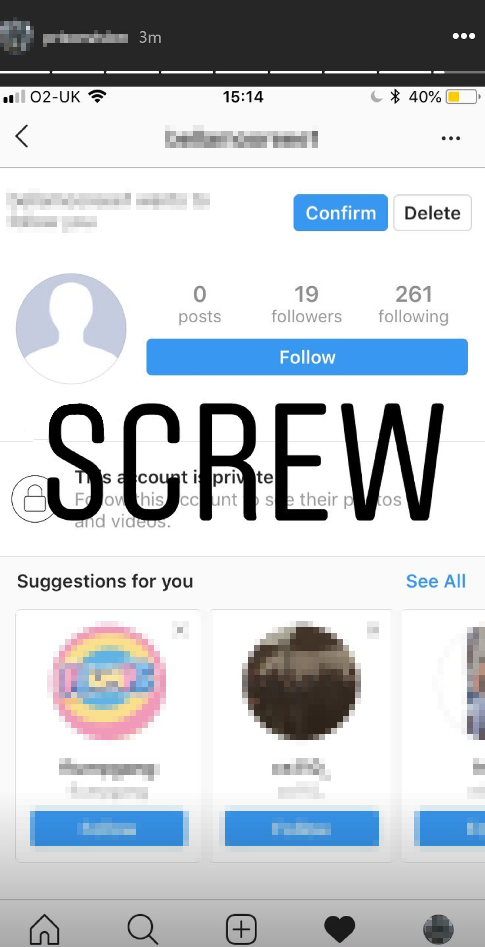 A screenshot from an Instagram Story shows a social media account with screw written over the image