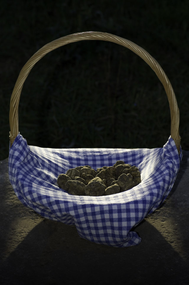 A basket of truffles (Visit Istria/PA)