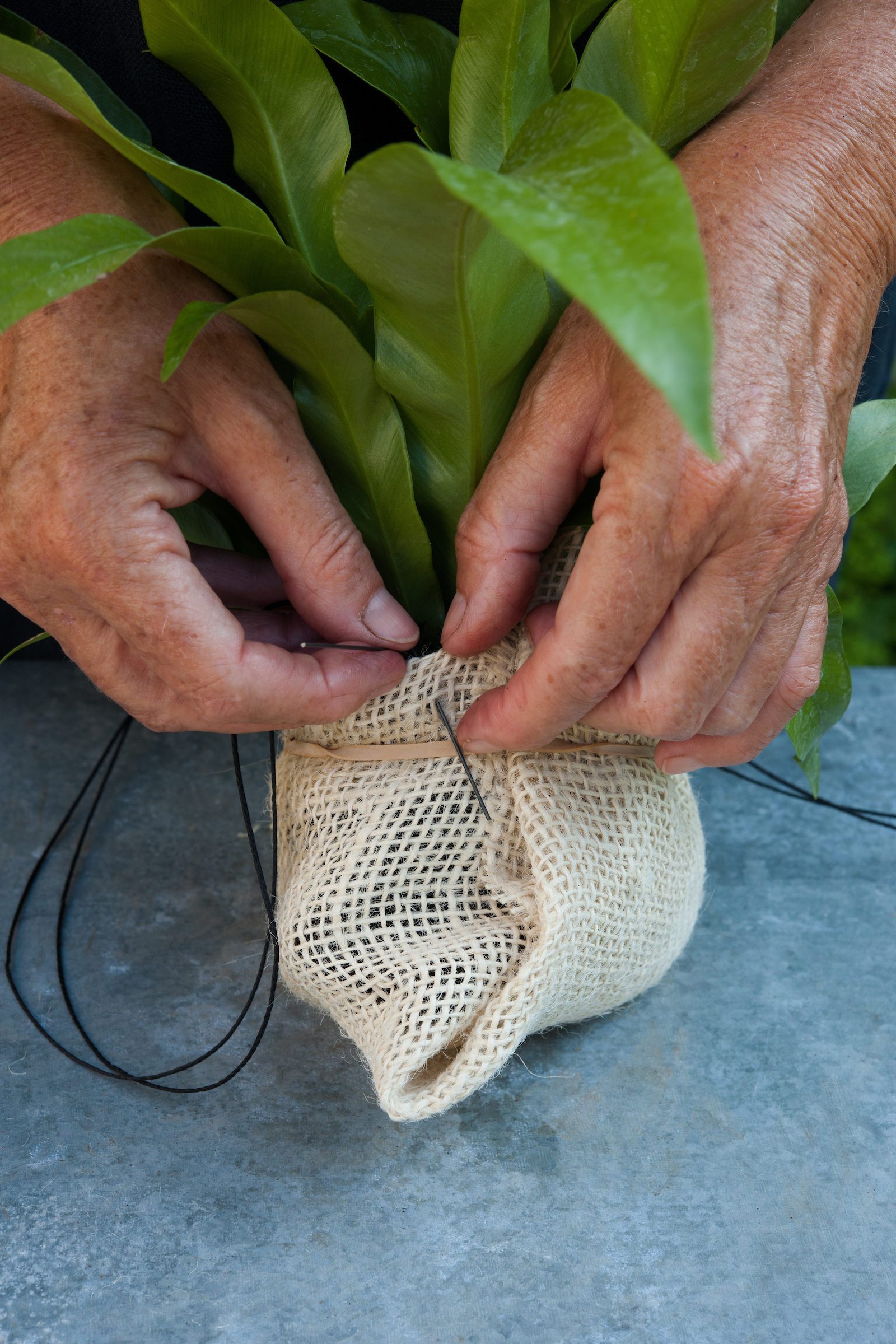 Attach the wire to either side of the hessian (Nigel Hodgson/PA)