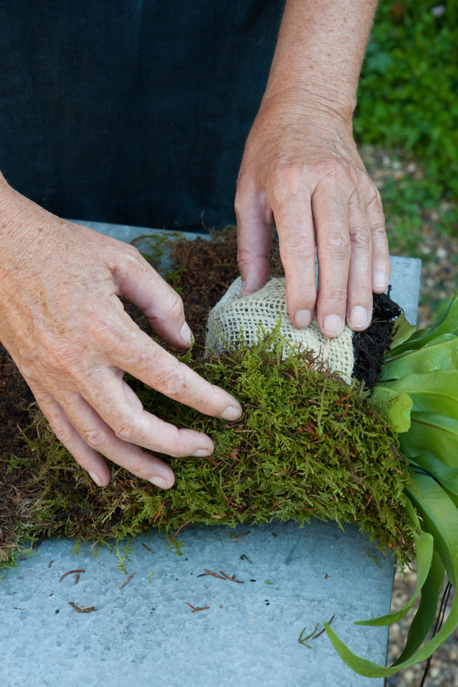 Wrap the hessian in sheet moss (Nigel Hodgson/PA)