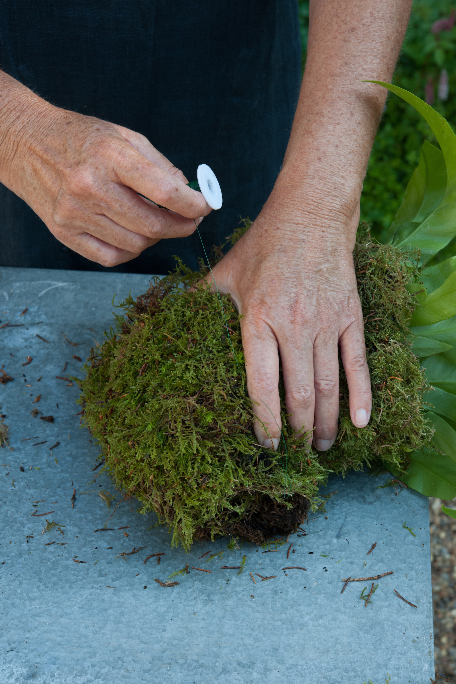 Secure the moss with florists wire (Nigel Hodgson/PA)