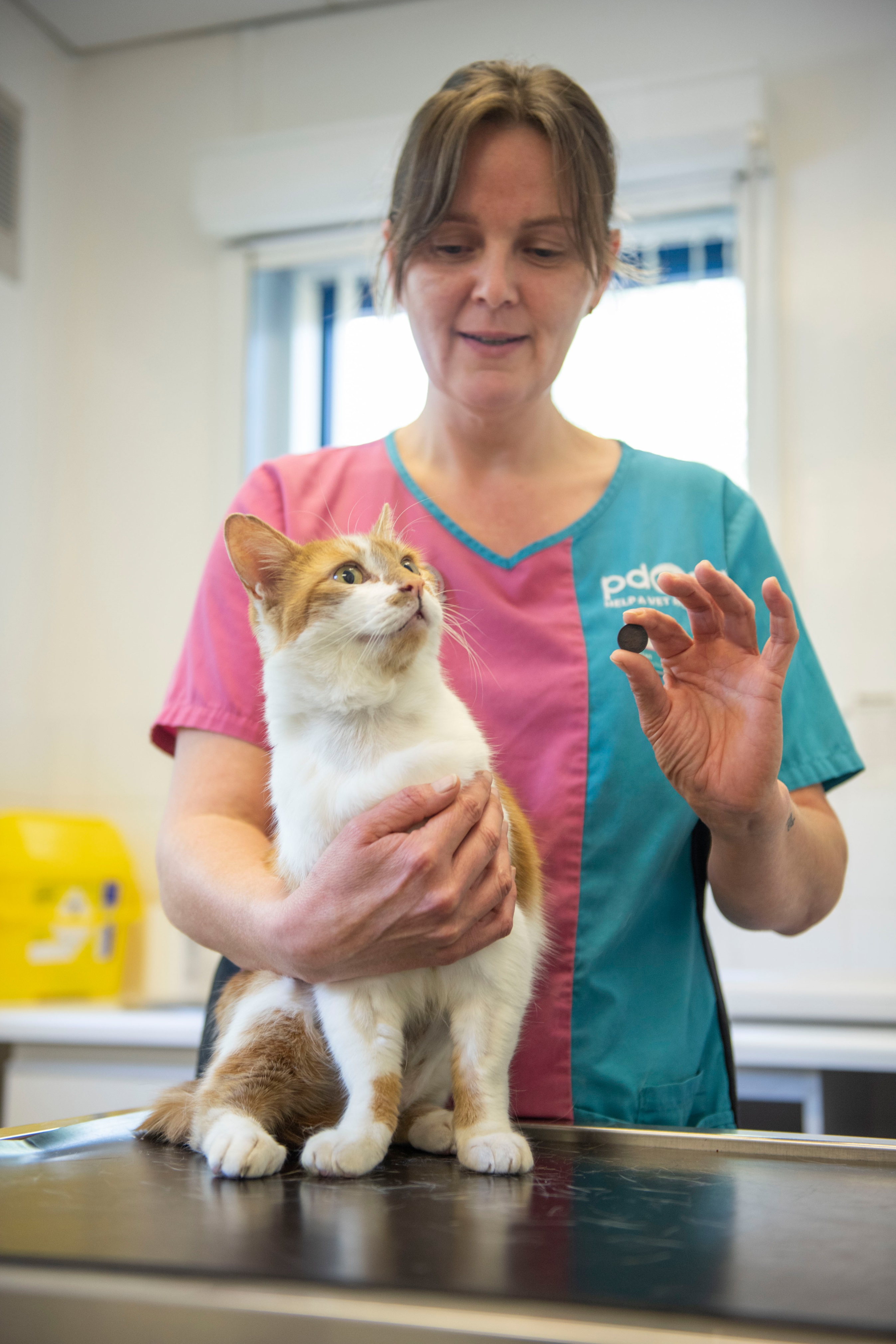 Kevin the ginger tomcat with PDSA veterinary nurse Rhian Brice and the 5p coin he swallowed (PDSA/PA).