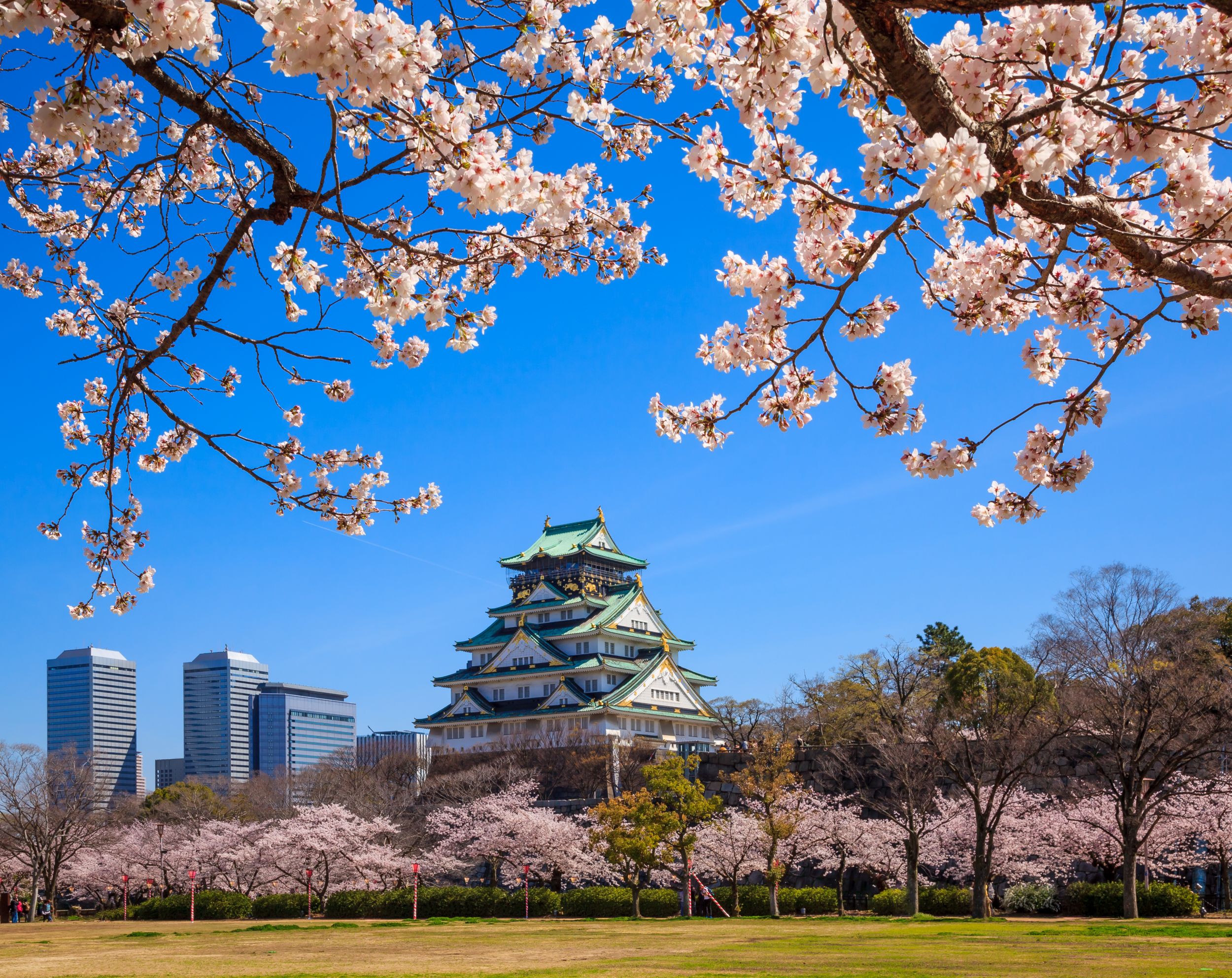 Osaka castle in cherry blossom season (Thinkstock/PA)