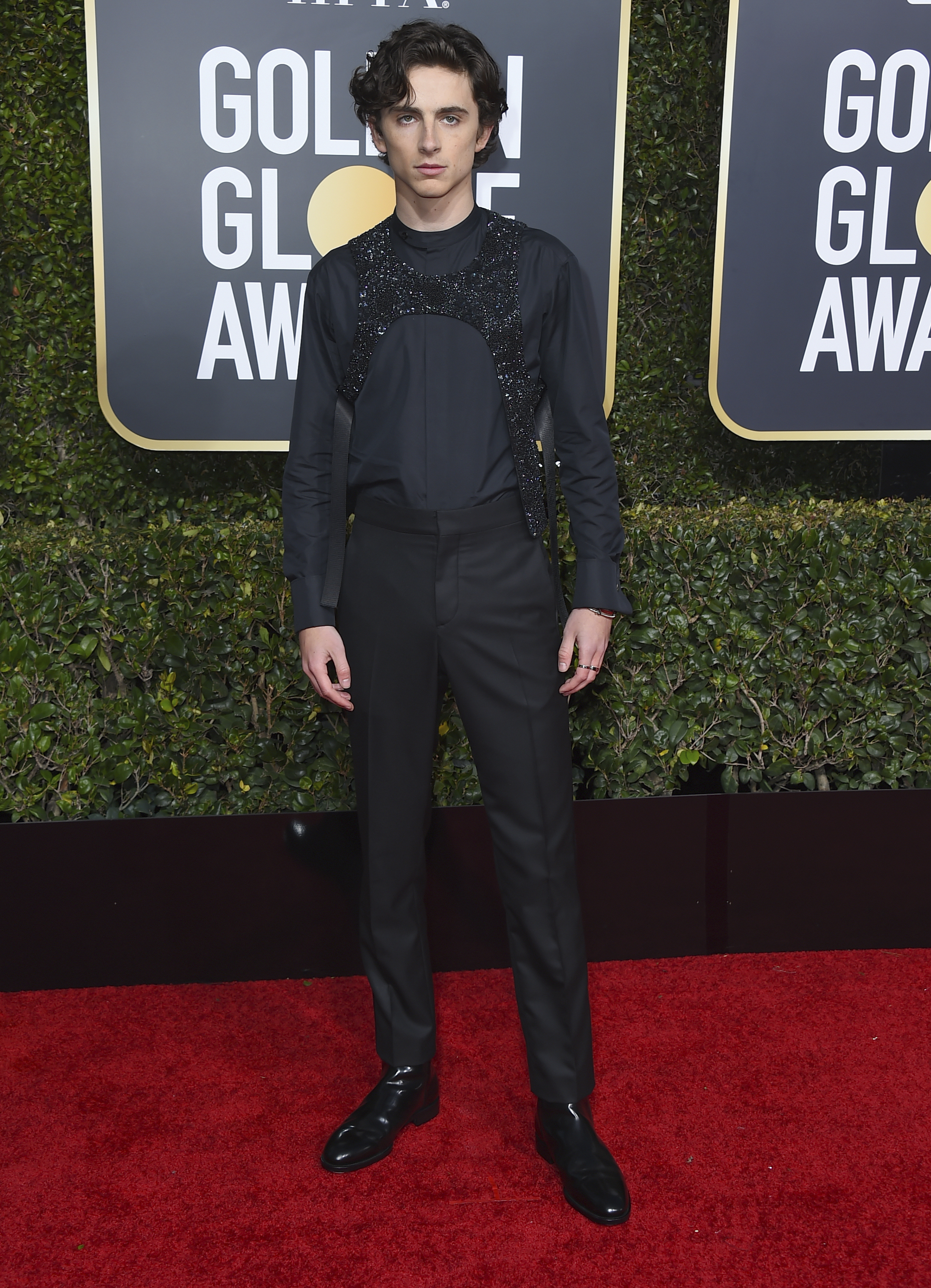 Timothee Chalamet arrives at the 76th annual Golden Globe Awards