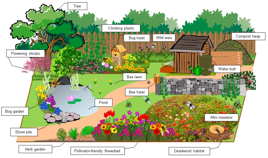 Buglife's suggested invertebrate-friendly garden (Buglife/PA)