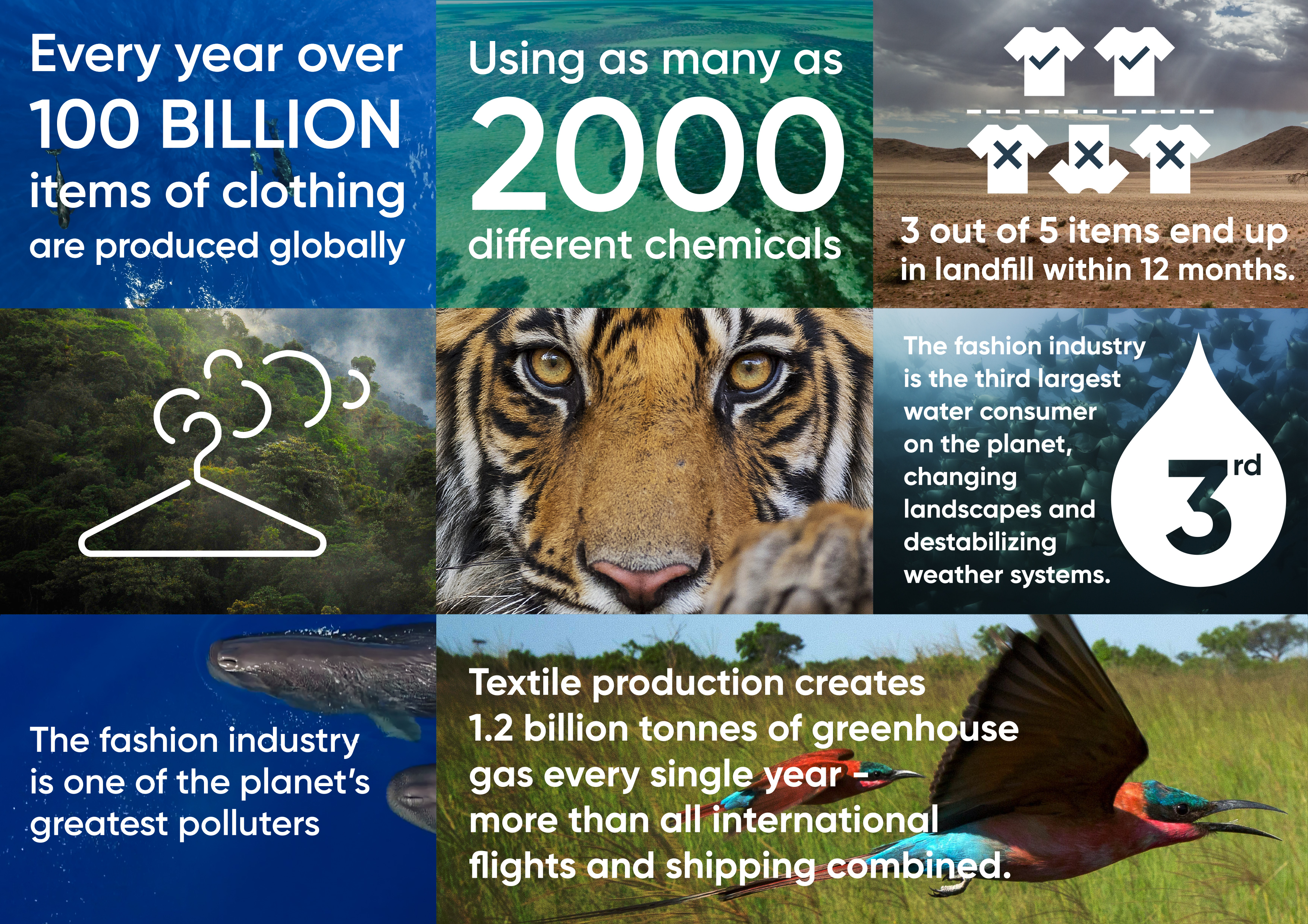 Fashion's impact on the environment