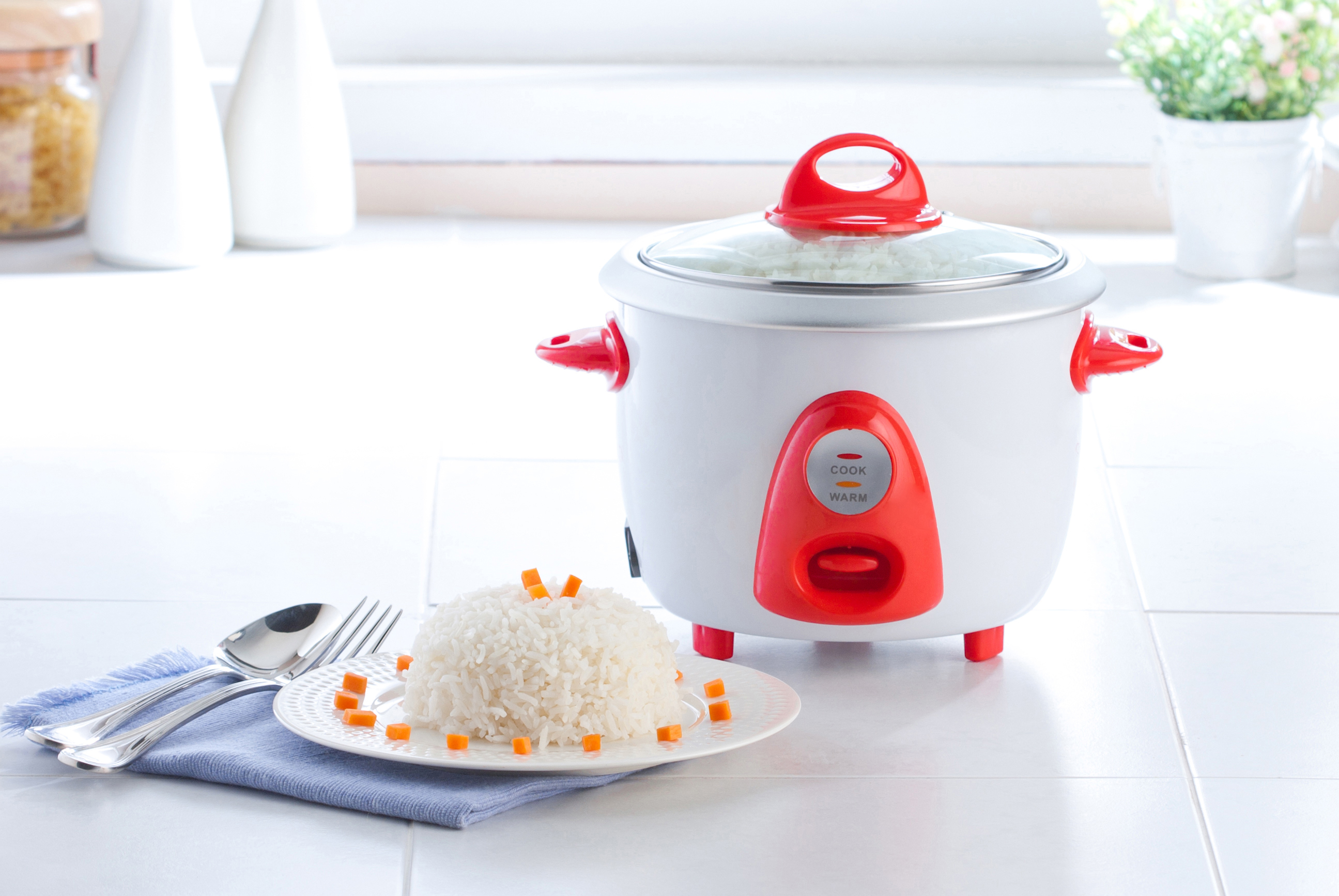 A rice cooker and some rice