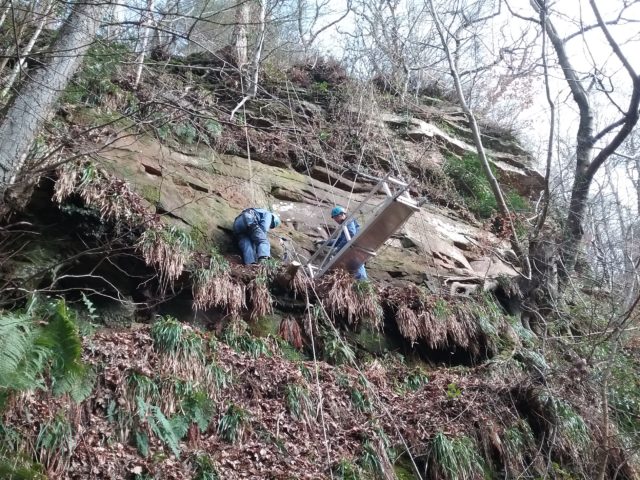 The archaeologists have to descend 30ft down the quarry face to record the inscriptions (Historic England/PA)