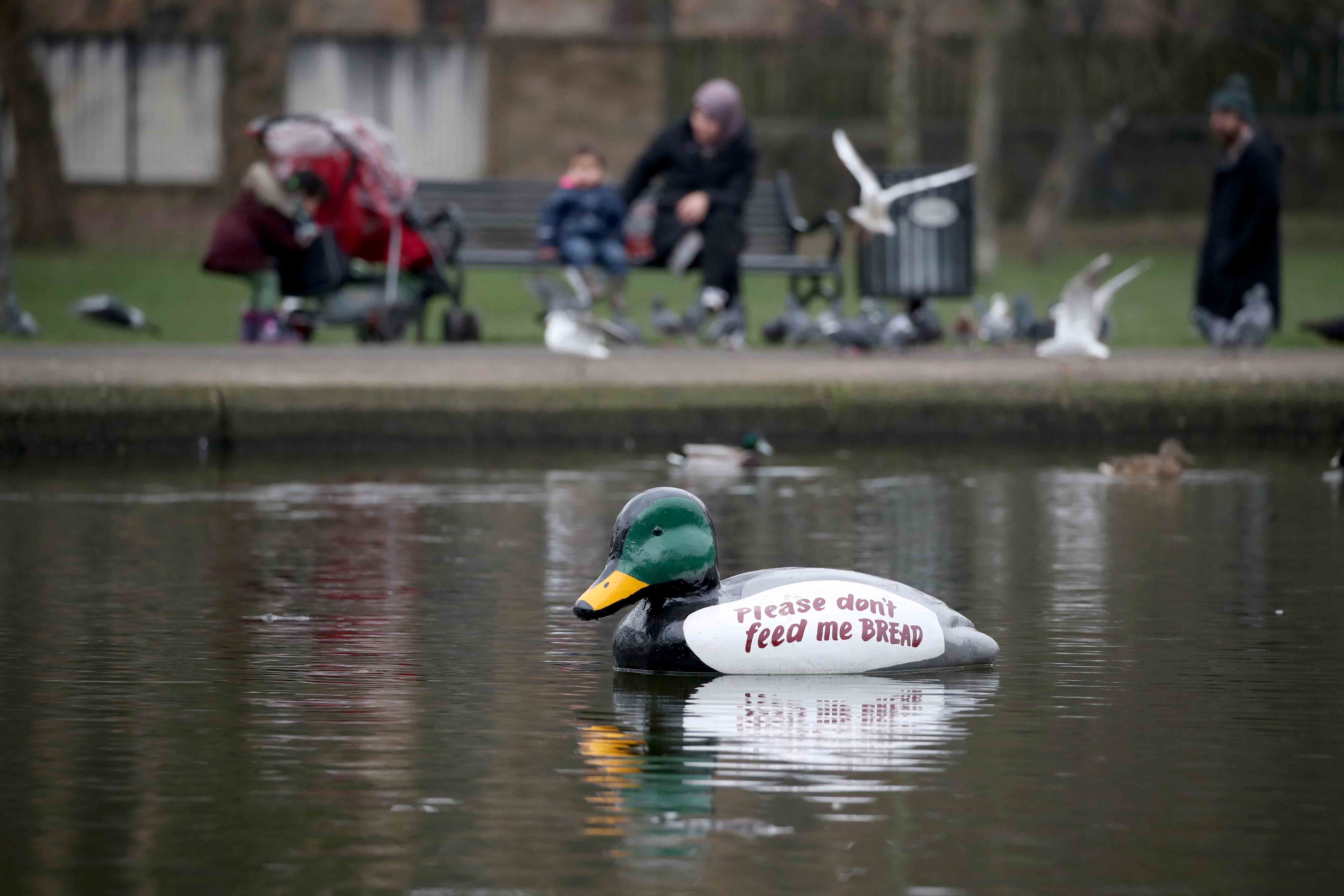 Queens Park pond