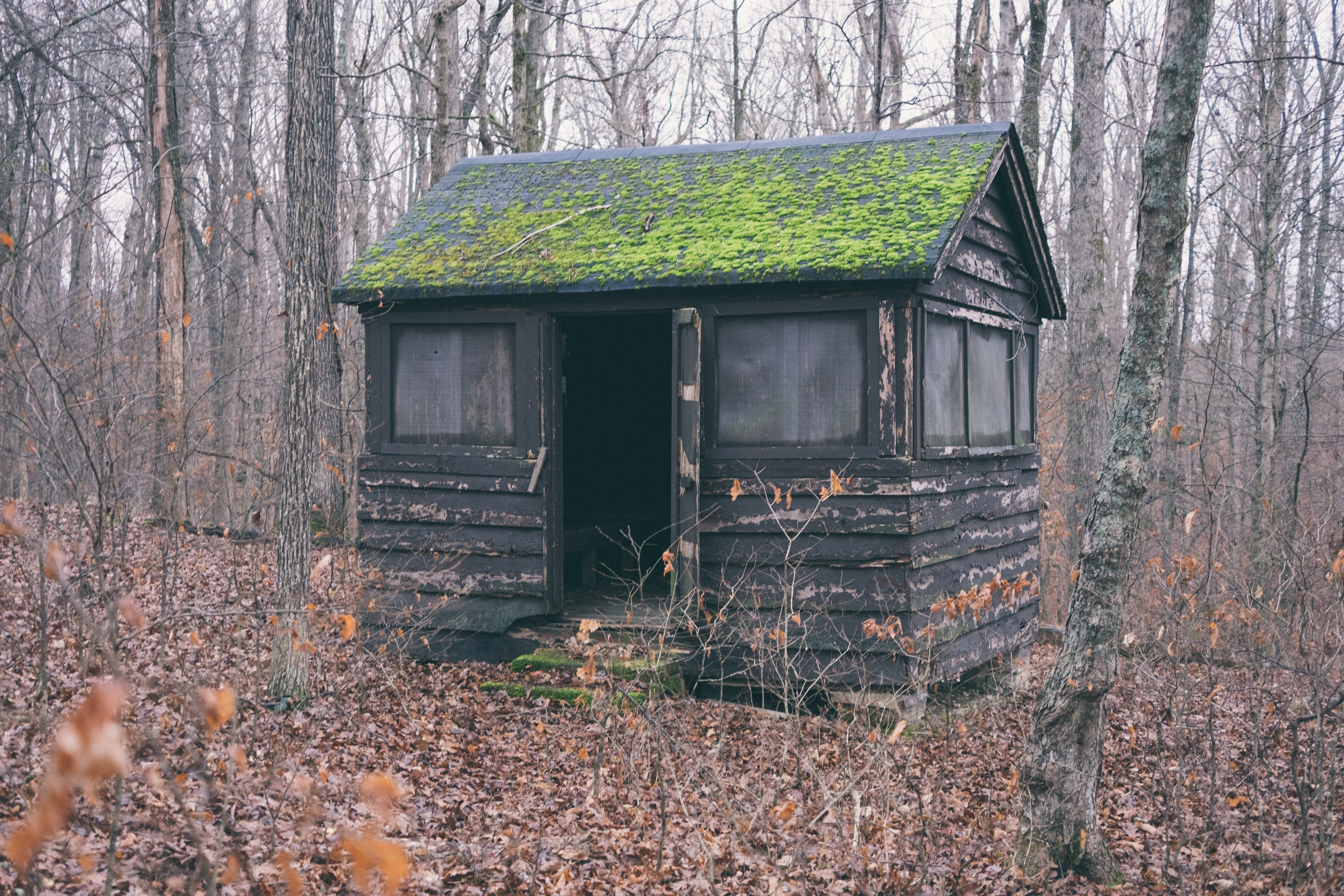 An old, dirty shed