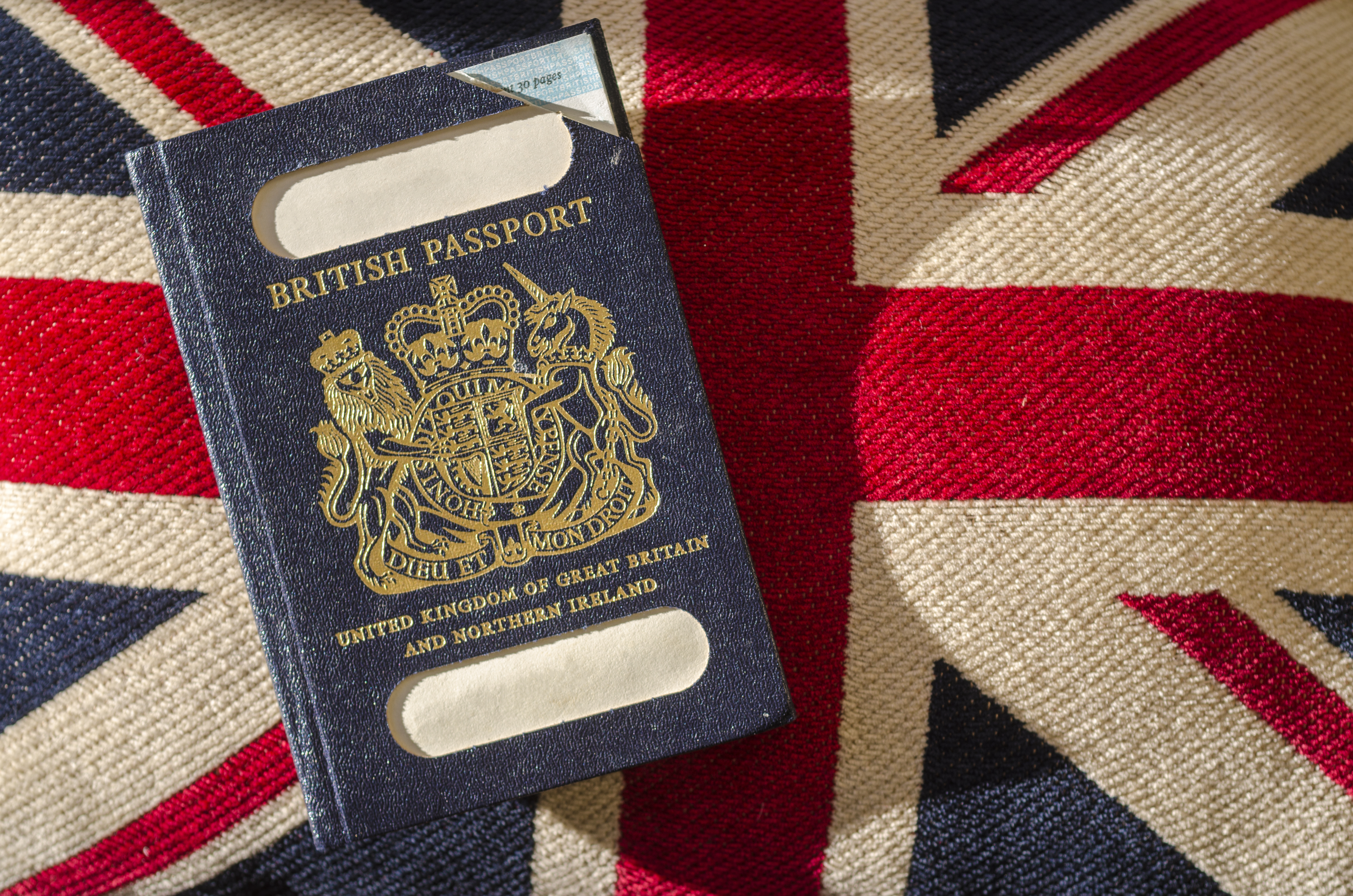 Expired blue passport