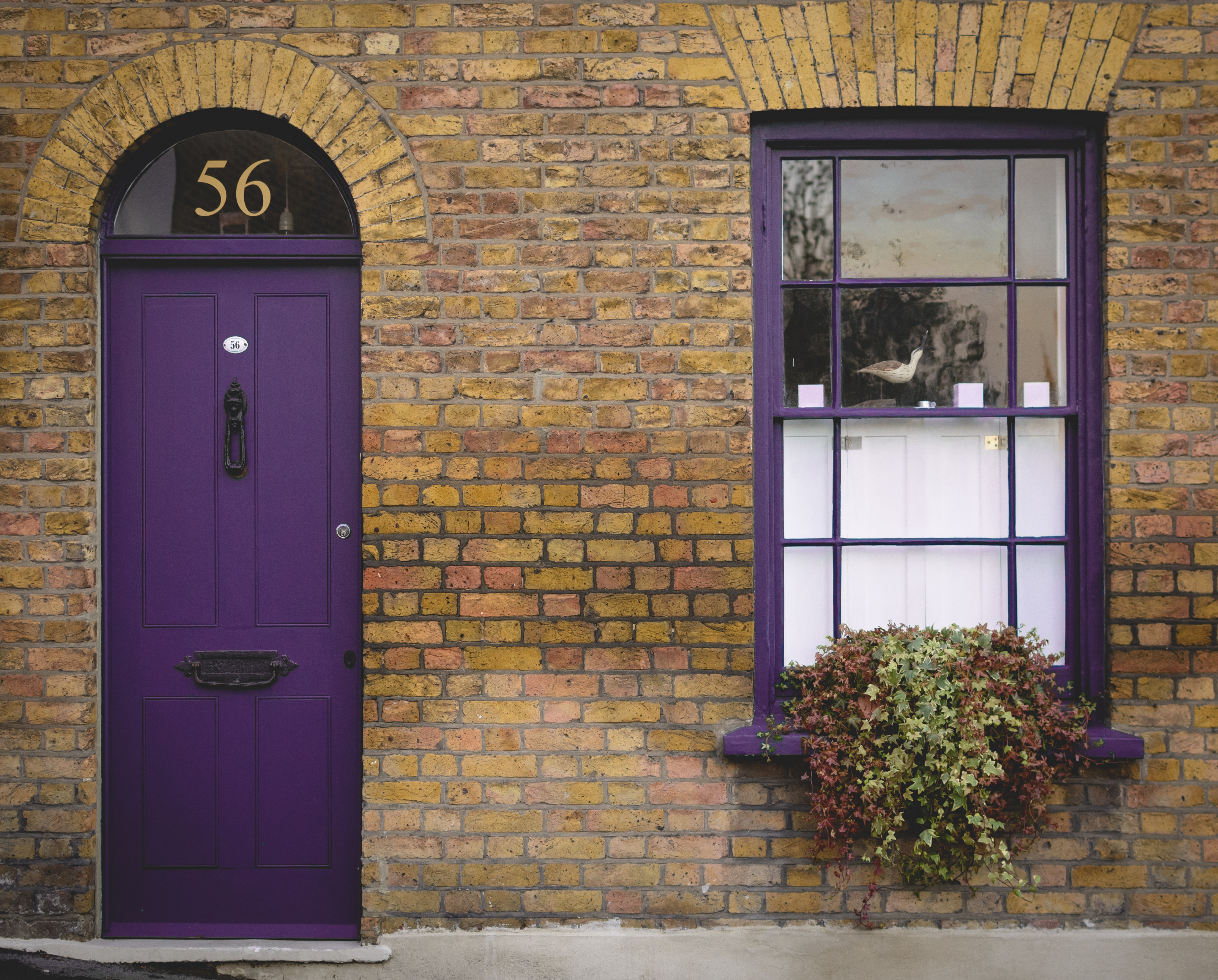 A purple door and window