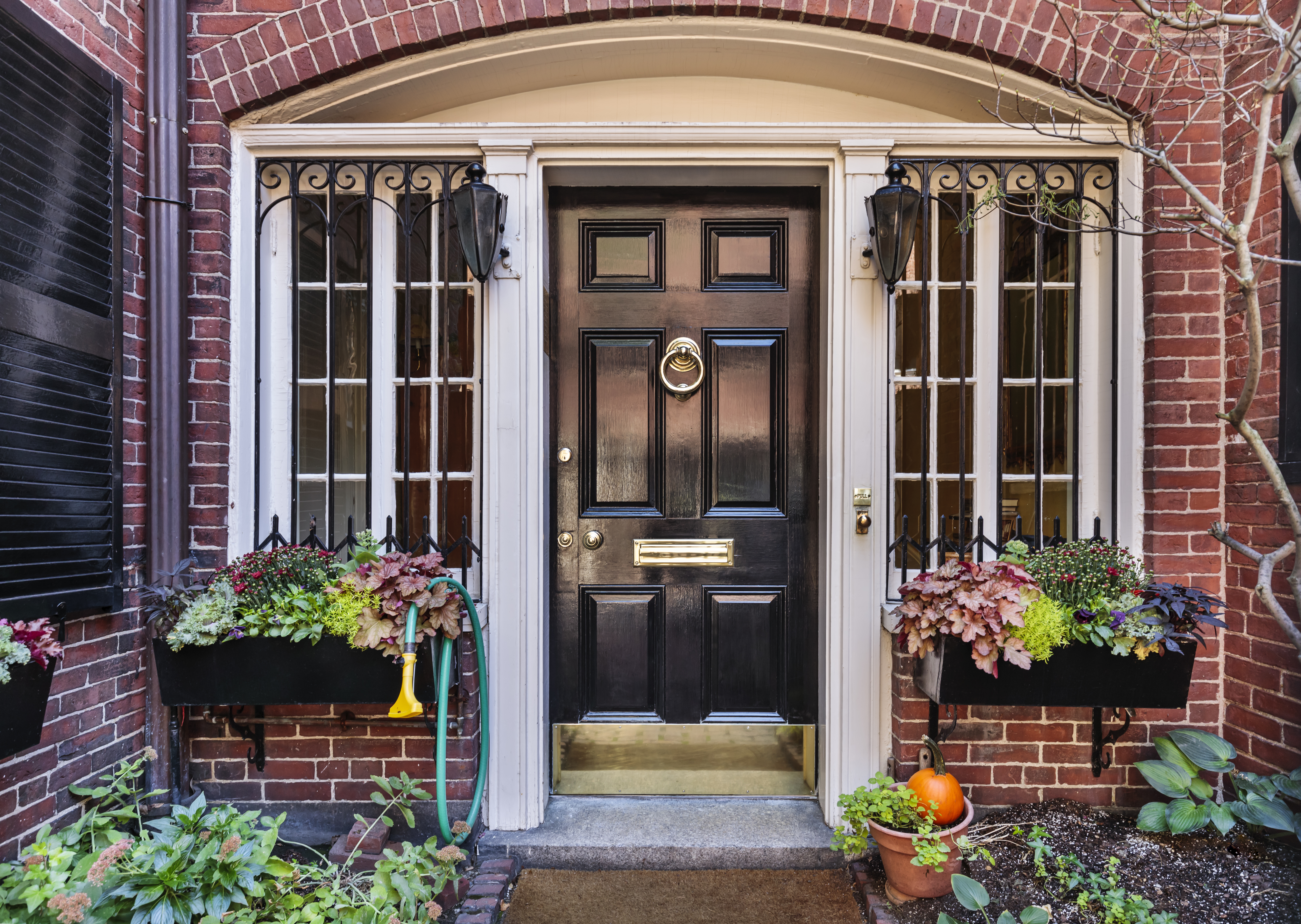 A black front door with plants and windows