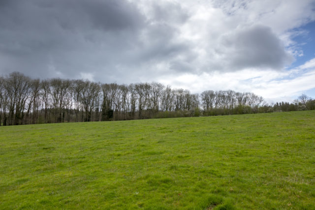 Land where the new orchards will be planted (John Miller/National Trust/PA)