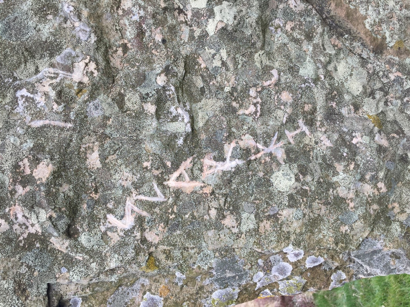 Graffiti