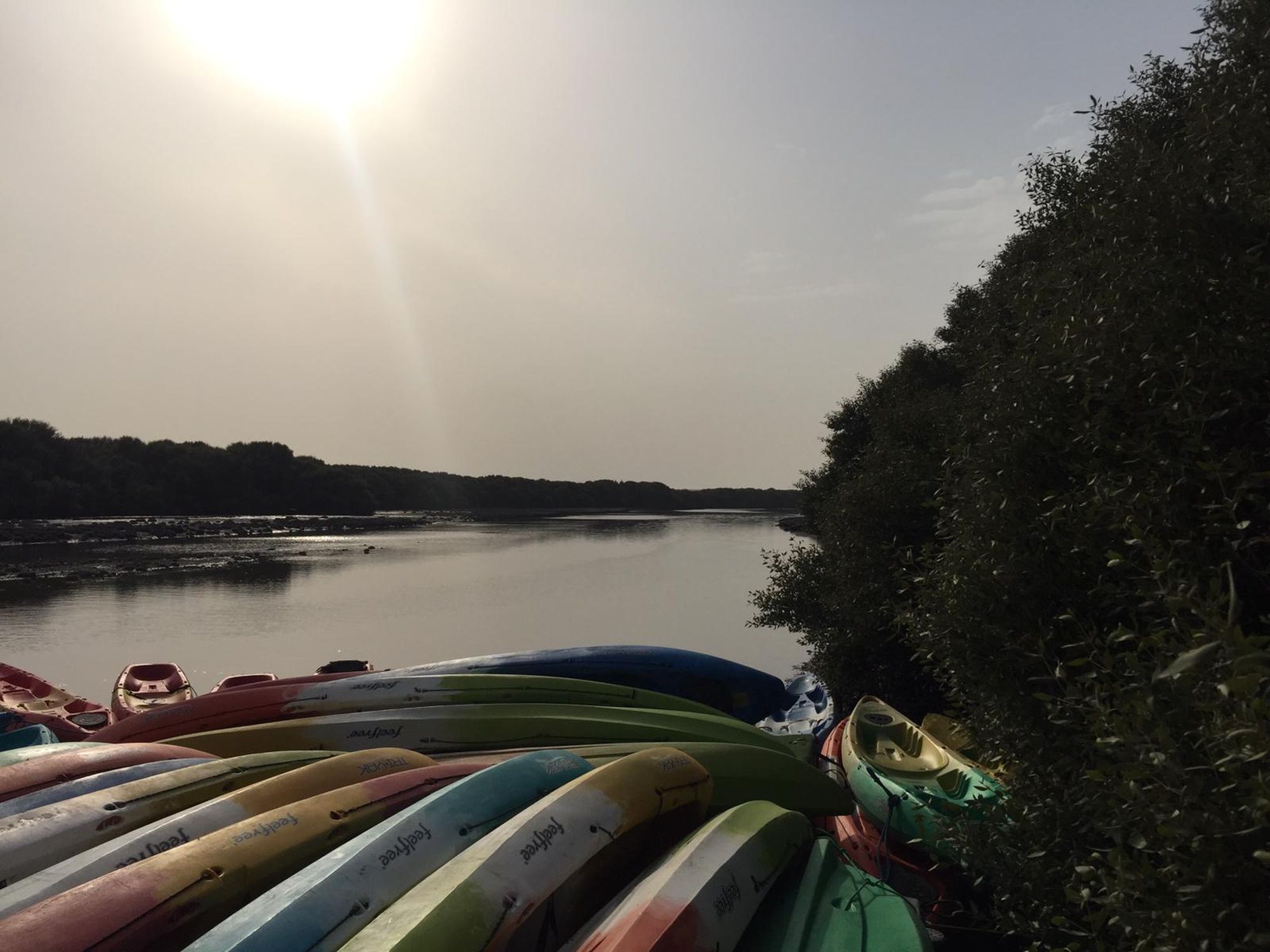 Kayaking through the mangroves (Georgia Humphreys/PA)