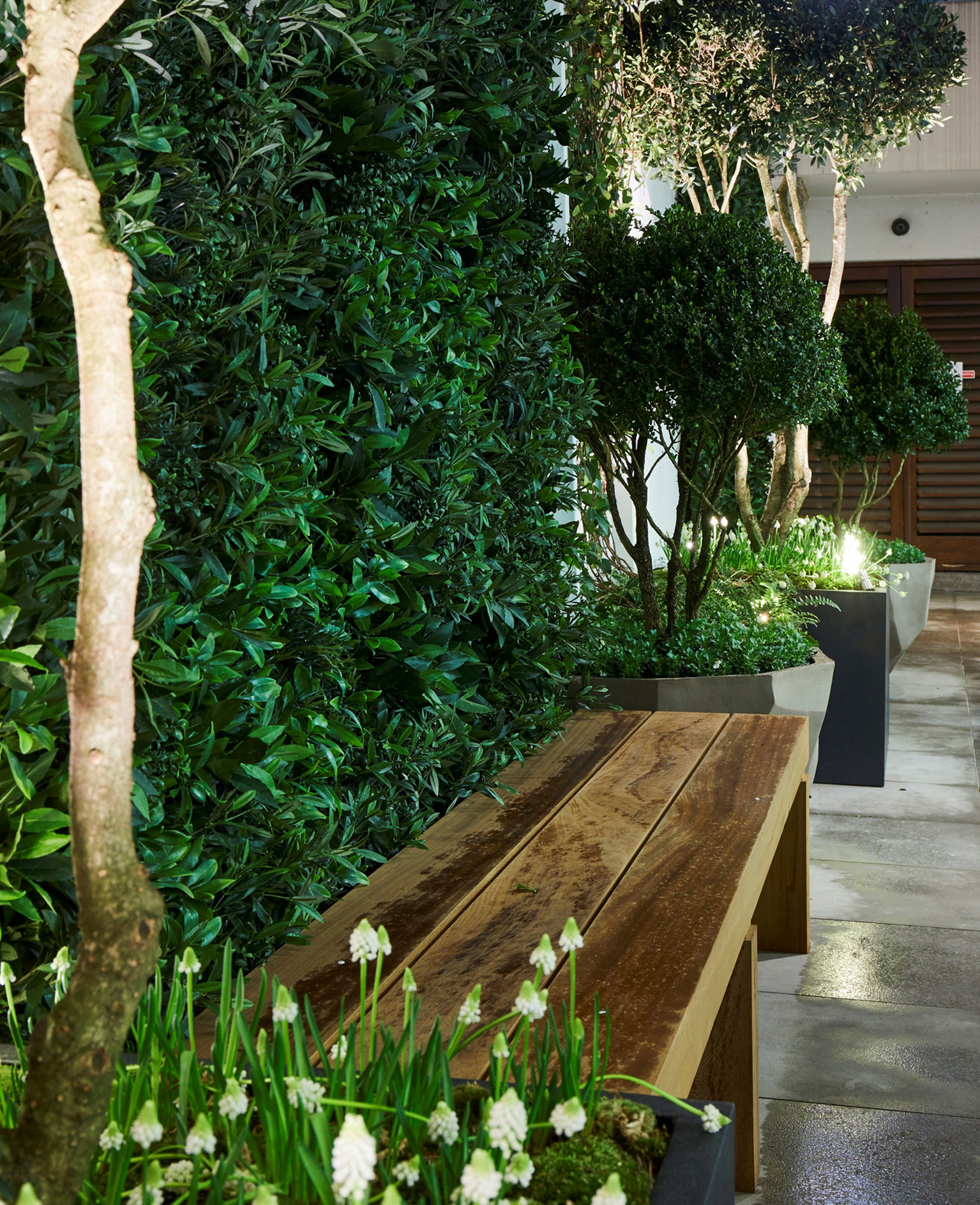 Artificial greenwall of magnolia, bay and buxus. Depth provided by pots planted with natural multi stems underplanted with seasonal bulbs for atmosphere, scent and colour (Cameron Gardens/Chris Snook/PA)