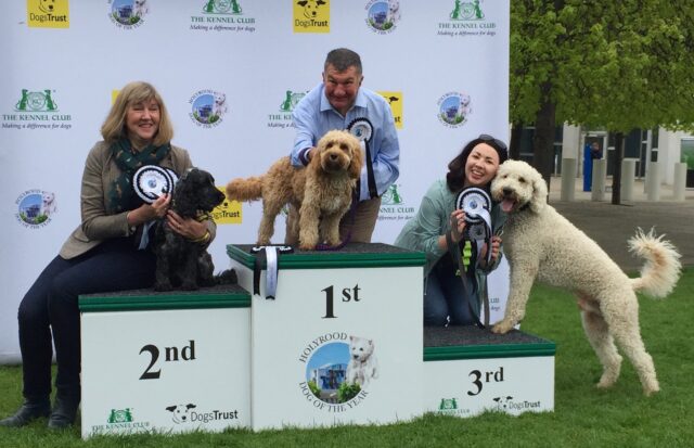 Jeremy Balfour with Sadie won the 2019 Holyrood Dog of the Year, followed by Alison Johnstone's George and Monica Lennon's dog Cuillin (Tom Eden/PA)