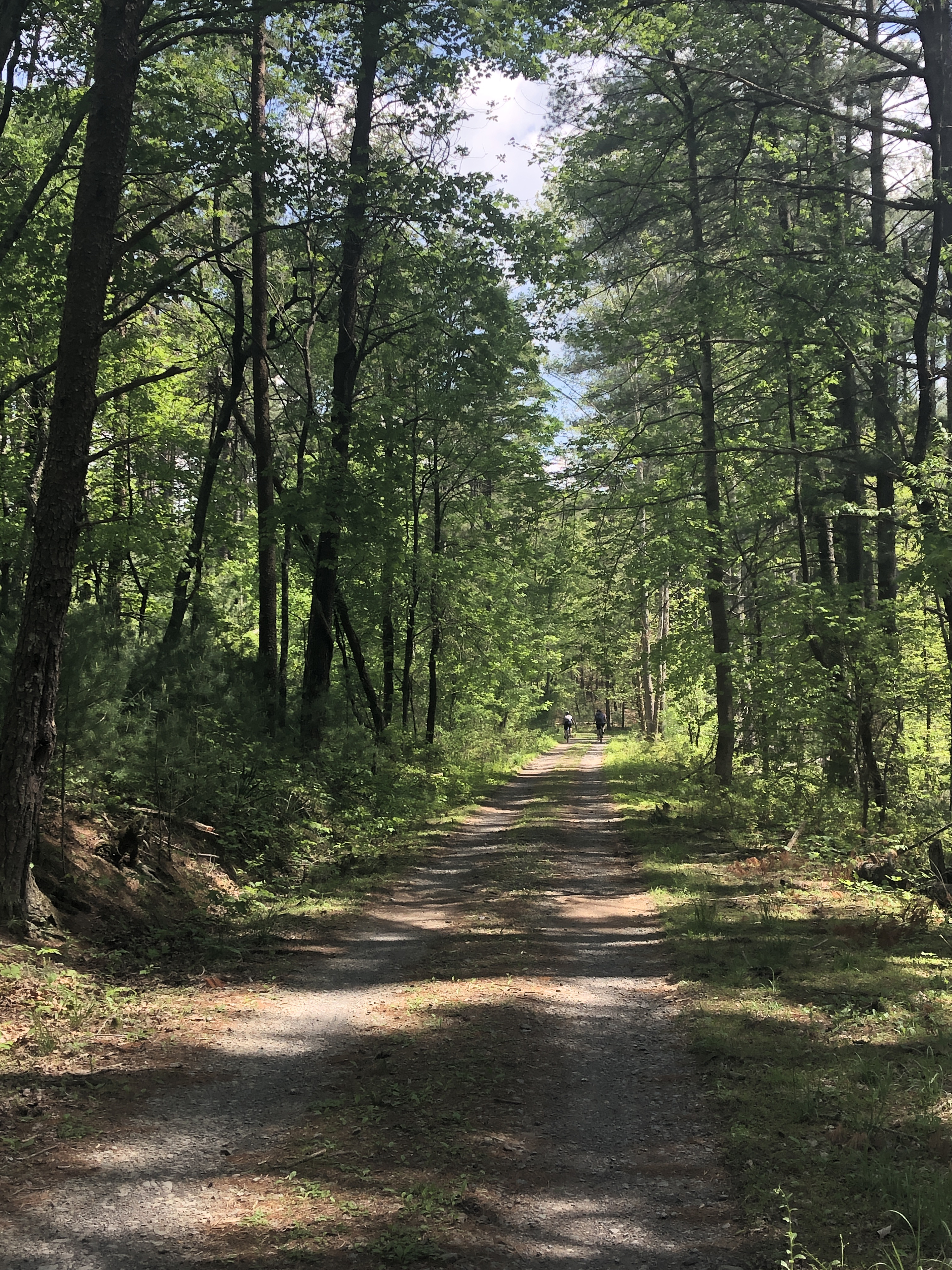 A trail in Carvins Cove in Virginia’s Blue Ridge (Emilia Harris/PA)