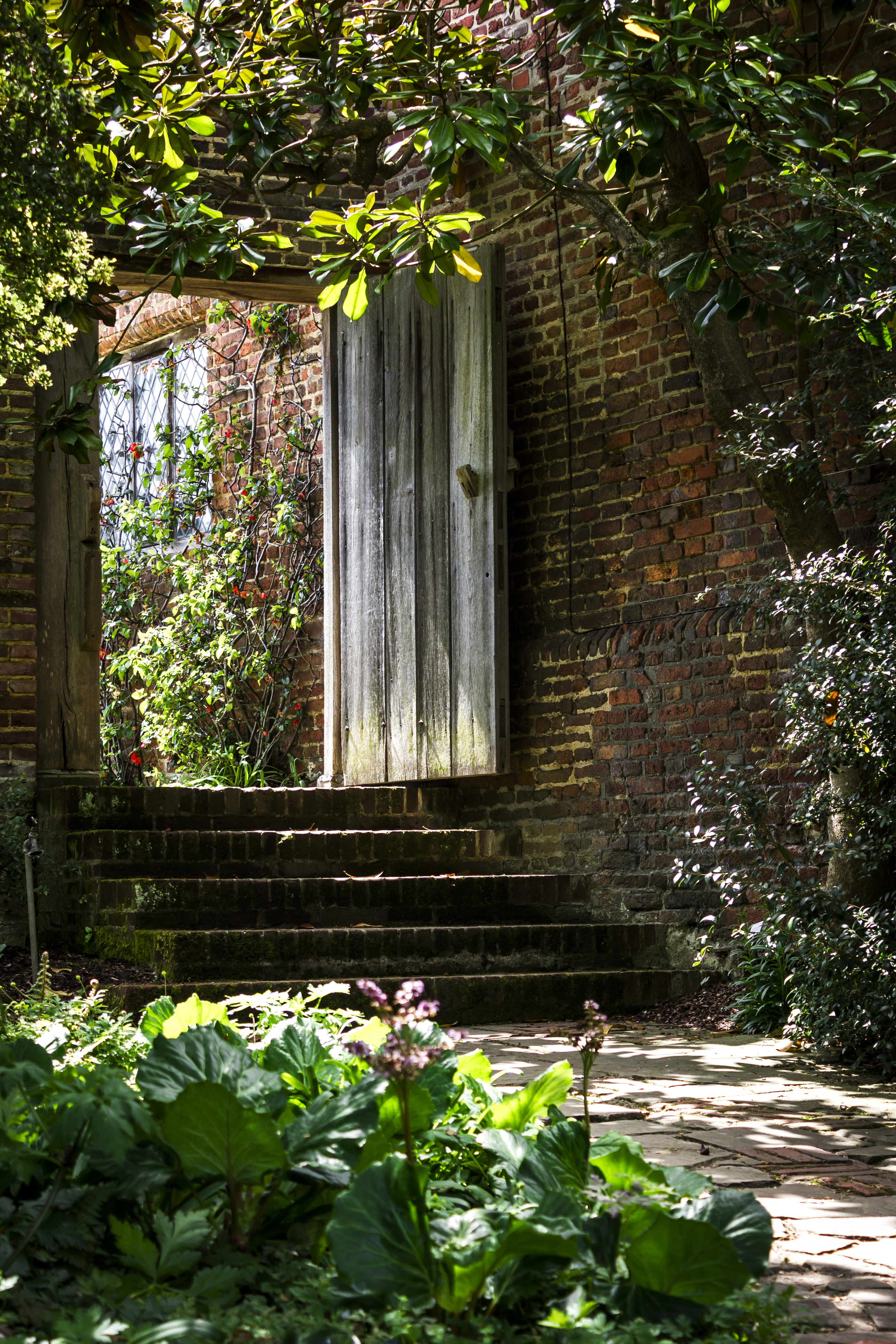 Shaded areas require shade-loving plants (iStock/PA)