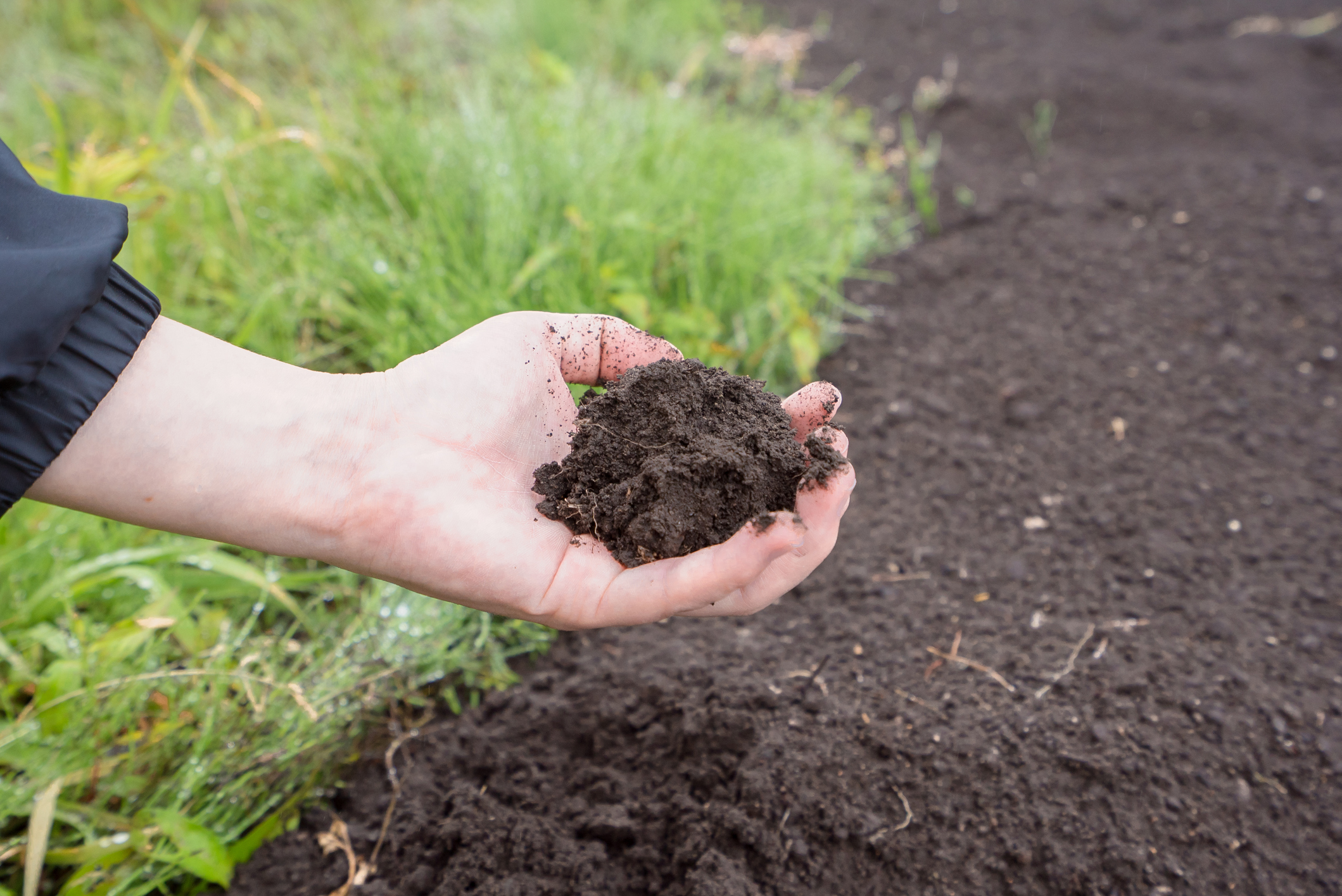 Know your soil (iStock/PA)