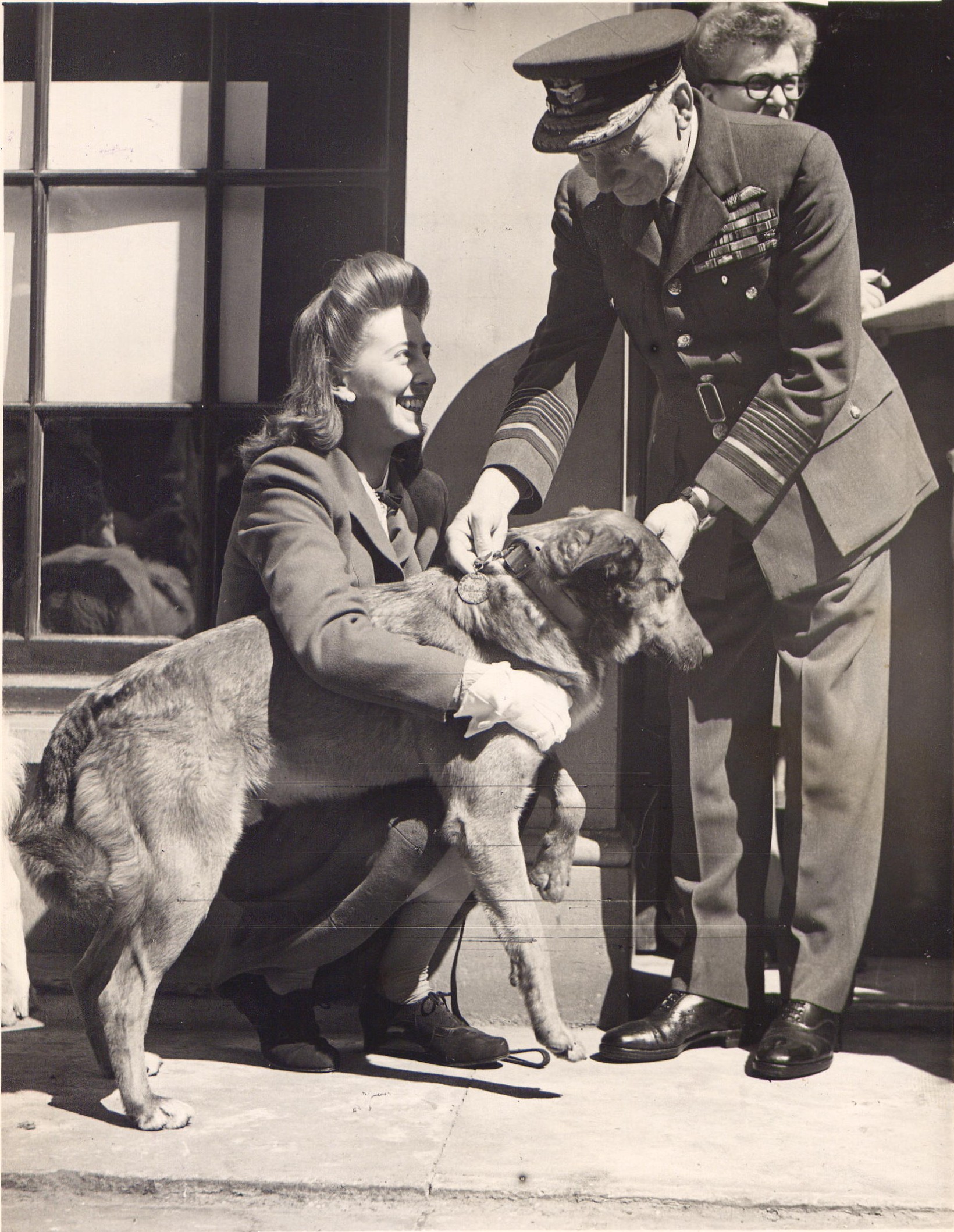 Brian, or Bing, the Alsatian, receives his Dickin Medal along with his owner Betty Fetch (PDSA/PA)