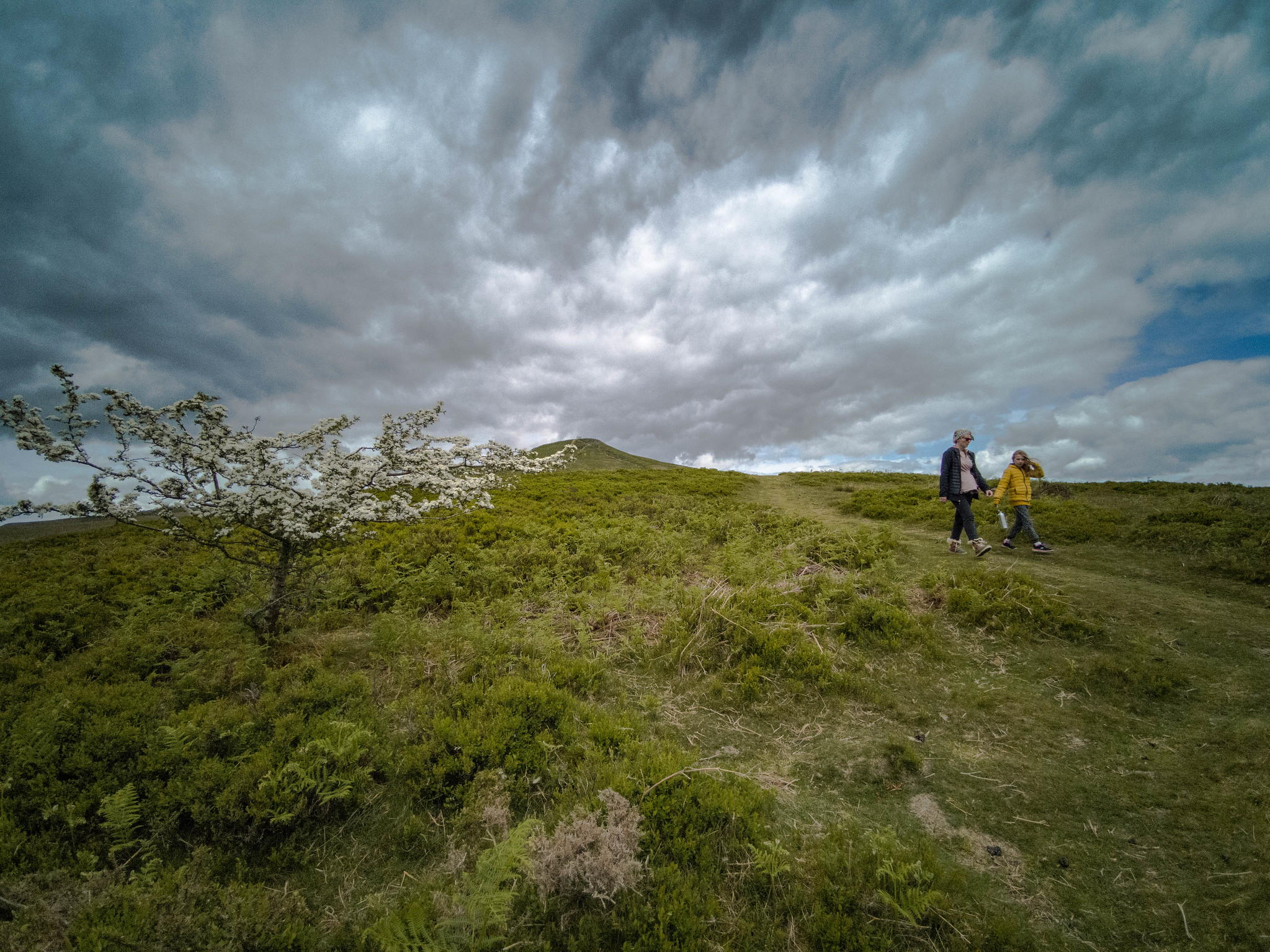 Photo taken on the Huawei P30 Pro