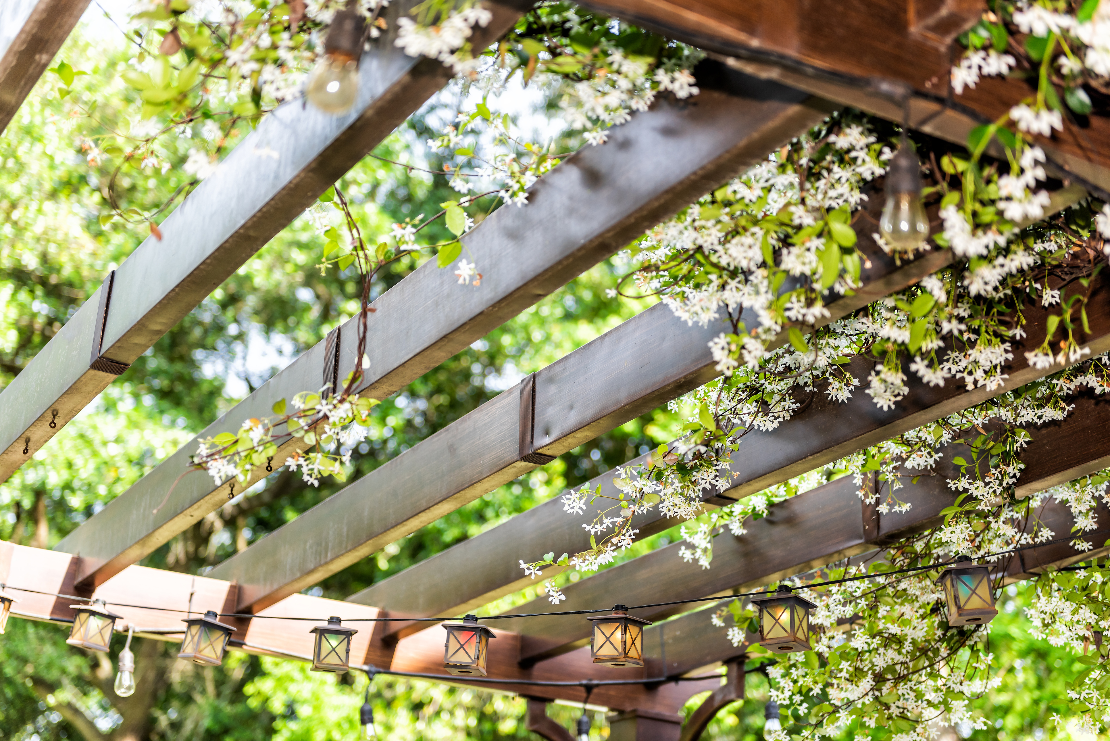 A pergola can provide both shade and shelter from prying eyes (iStock/PA)