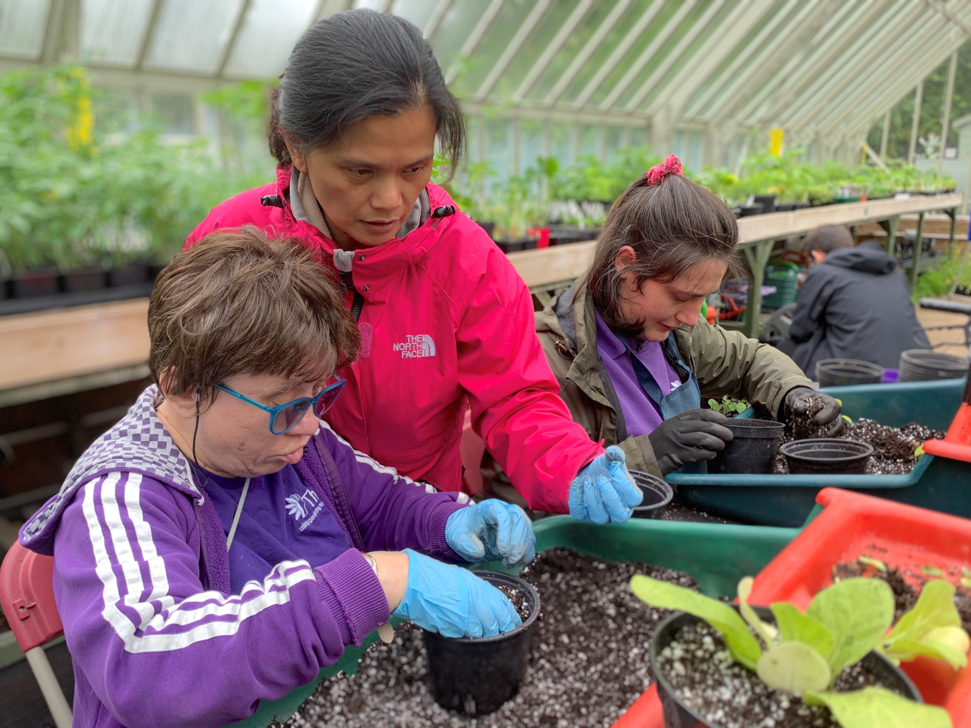 Horticultural therapy helps with both mental and physical health (Thrive/PA)