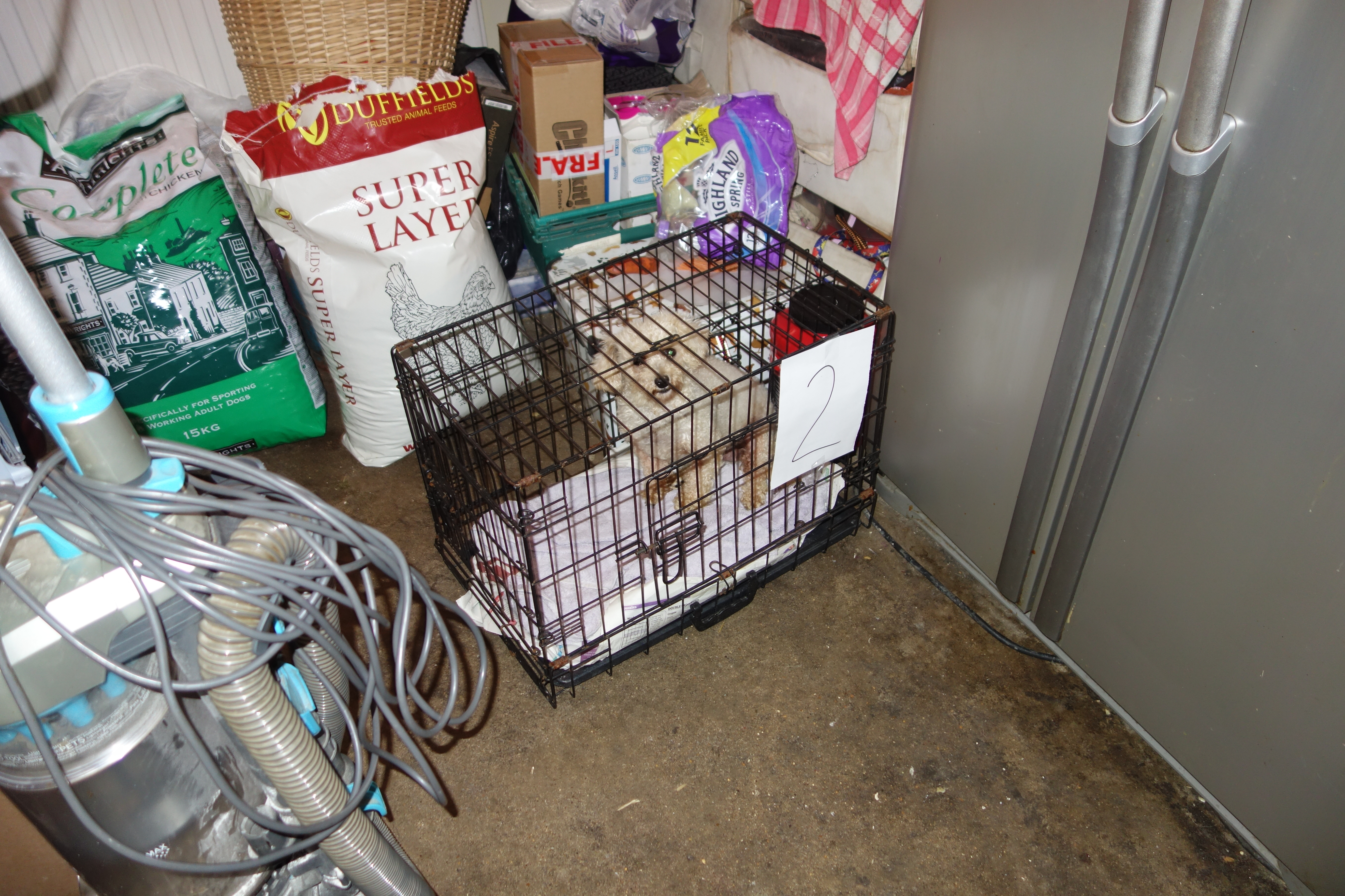 Some of the dogs were kept in tiny cages