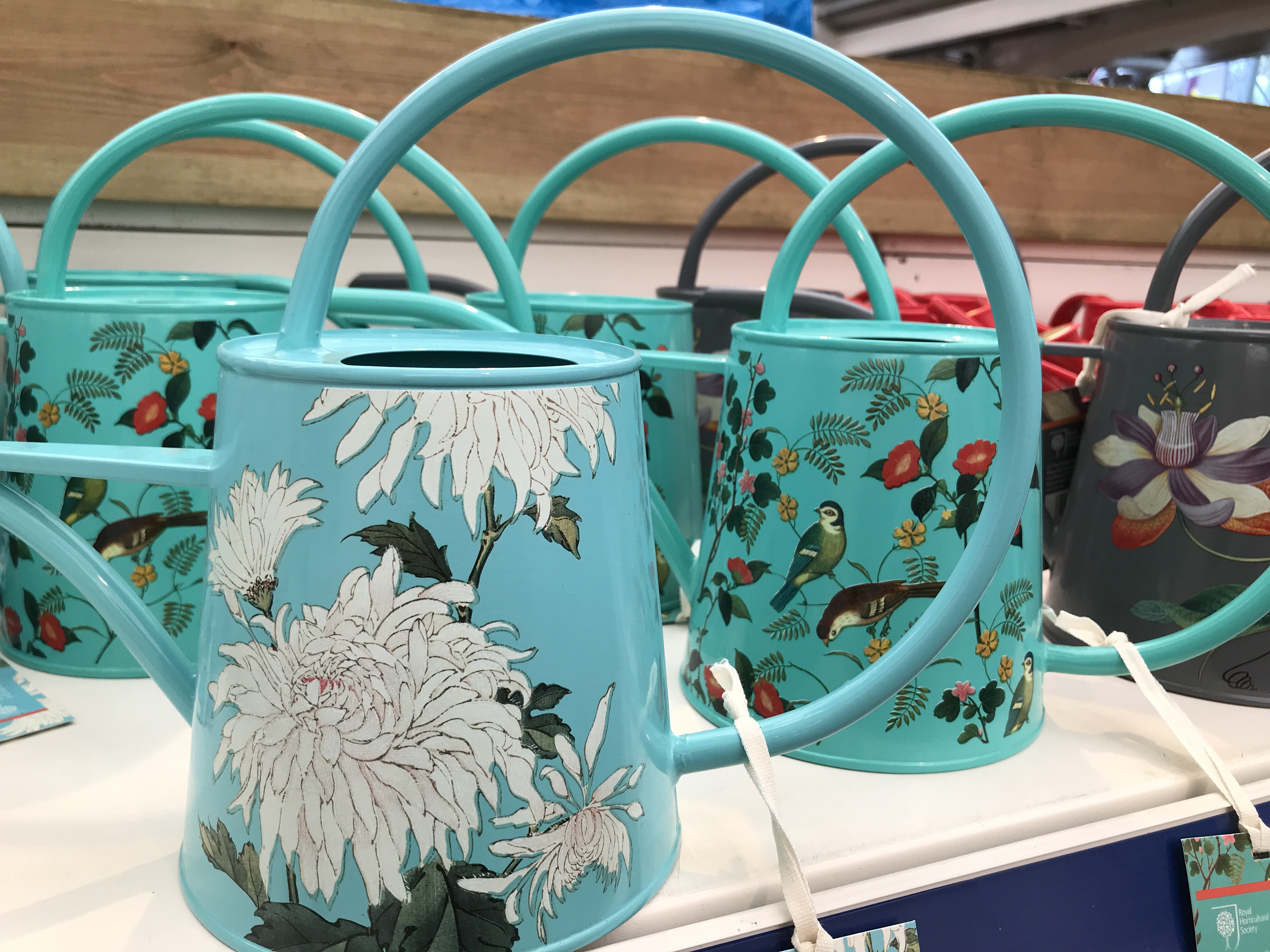 Pretty watering cans can be ornamental and practical (Hannah Stephenson/PA)