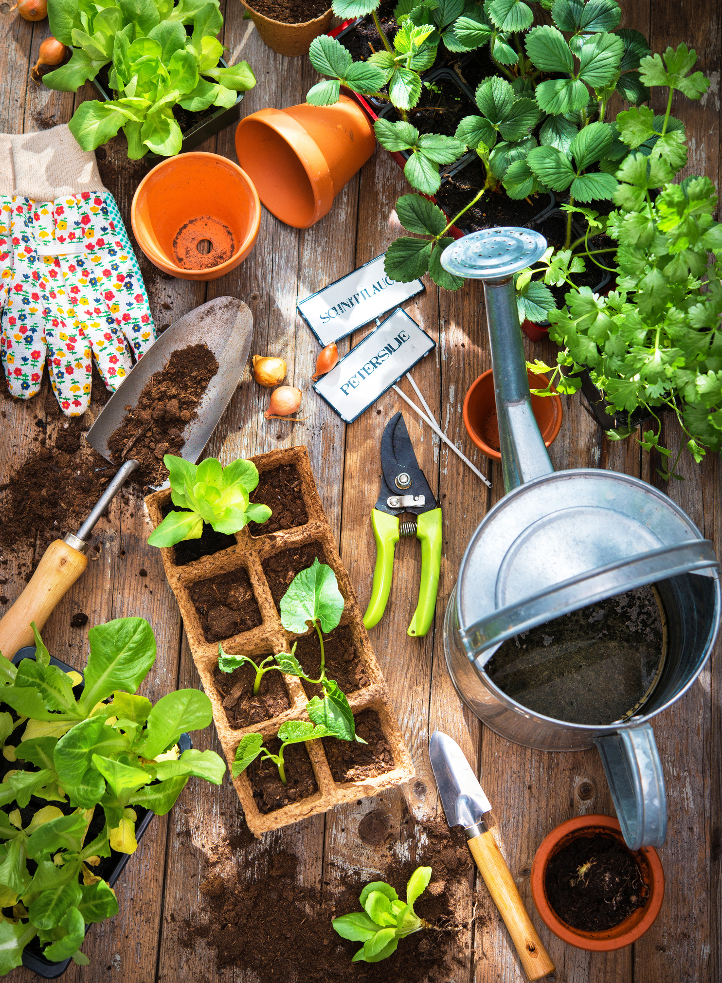 Create a potting corner in your greenhouse (iStock/PA)