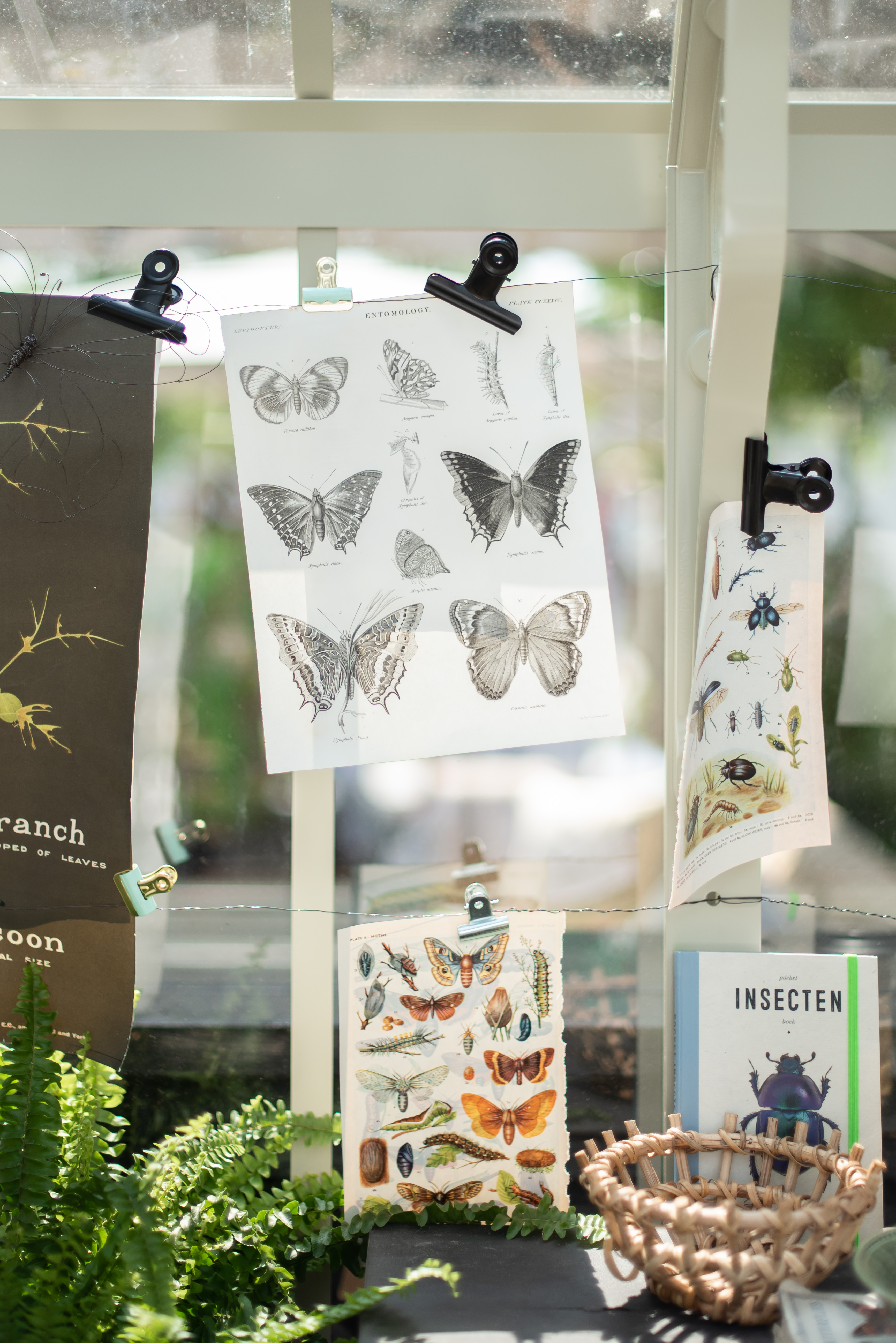 Insect designs are in fashion (Julia Currie Photography/PA)