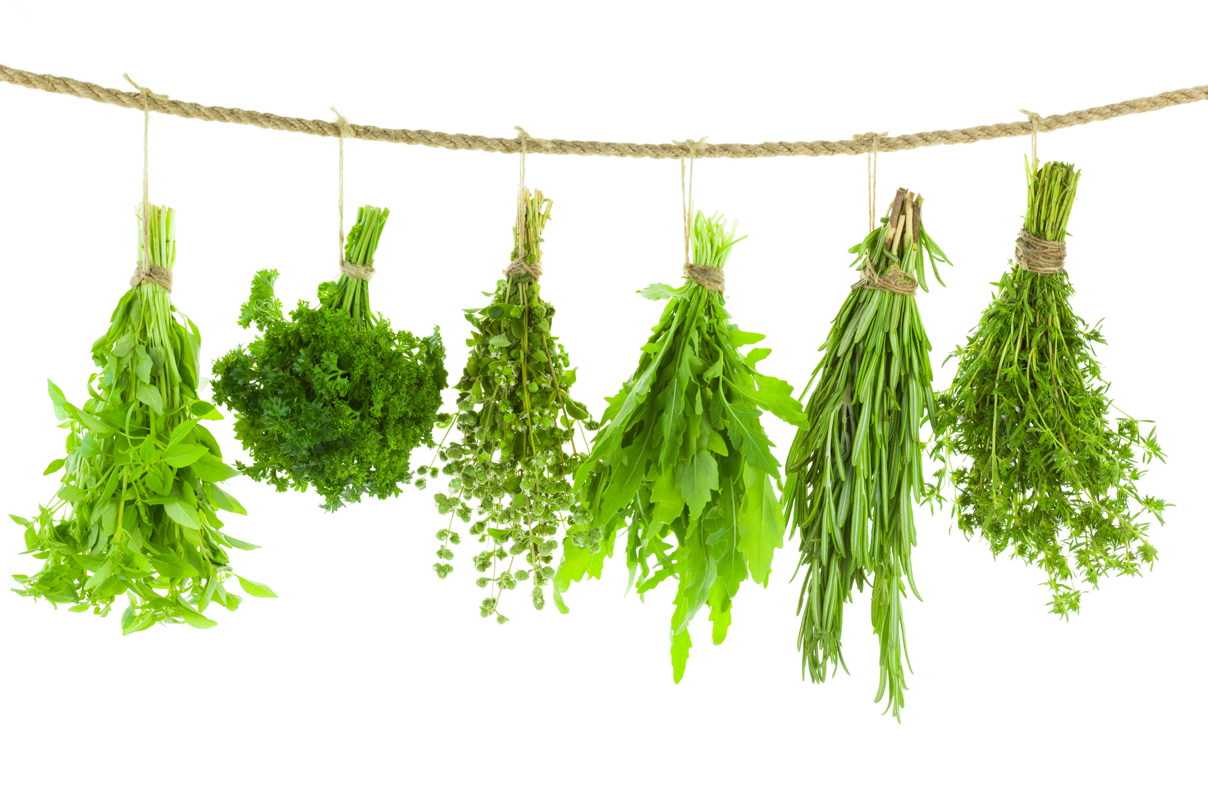 Hang and dry herbs in the greenhouse (iStock/PA)