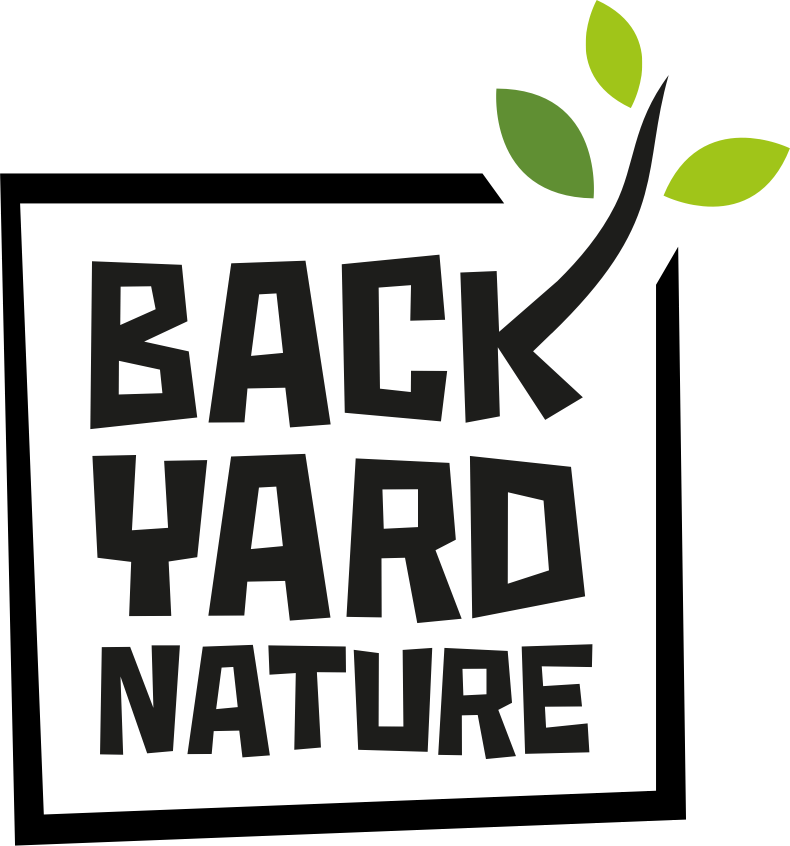 Backyard Nature
