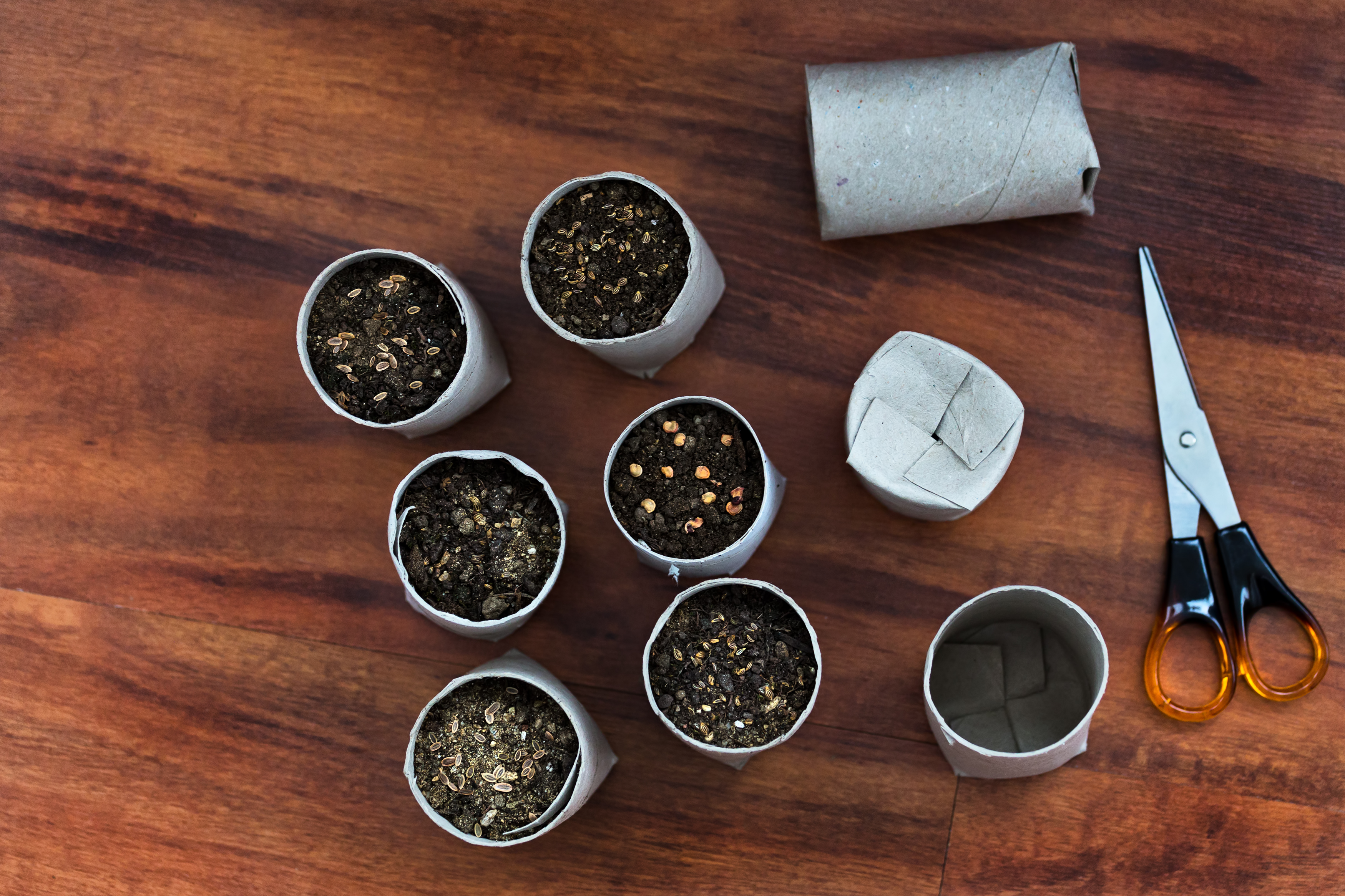 Upcycle toilet roll tubes to make seed pots (iStock/PA)