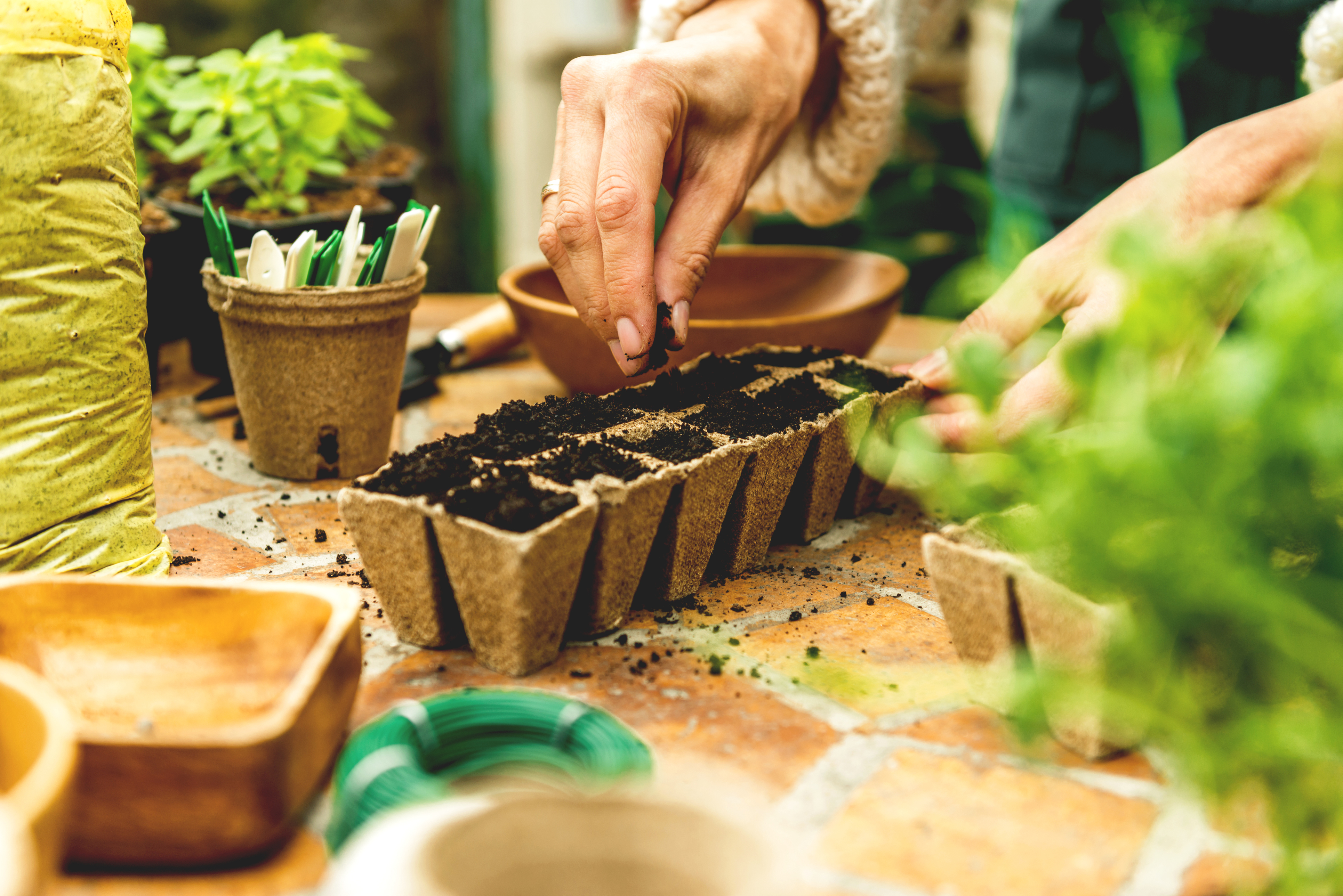 Consider other biodegradable materials (iStock/PA)