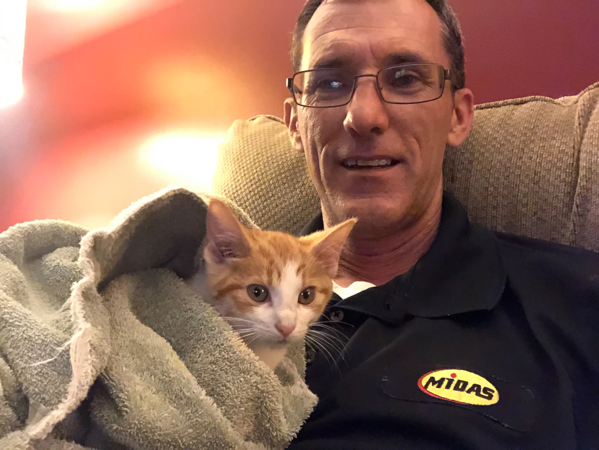 A kitten with Scott Bourne
