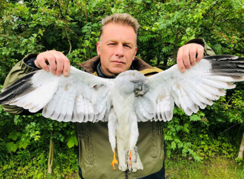 Chris Packham with the dead hen harrier