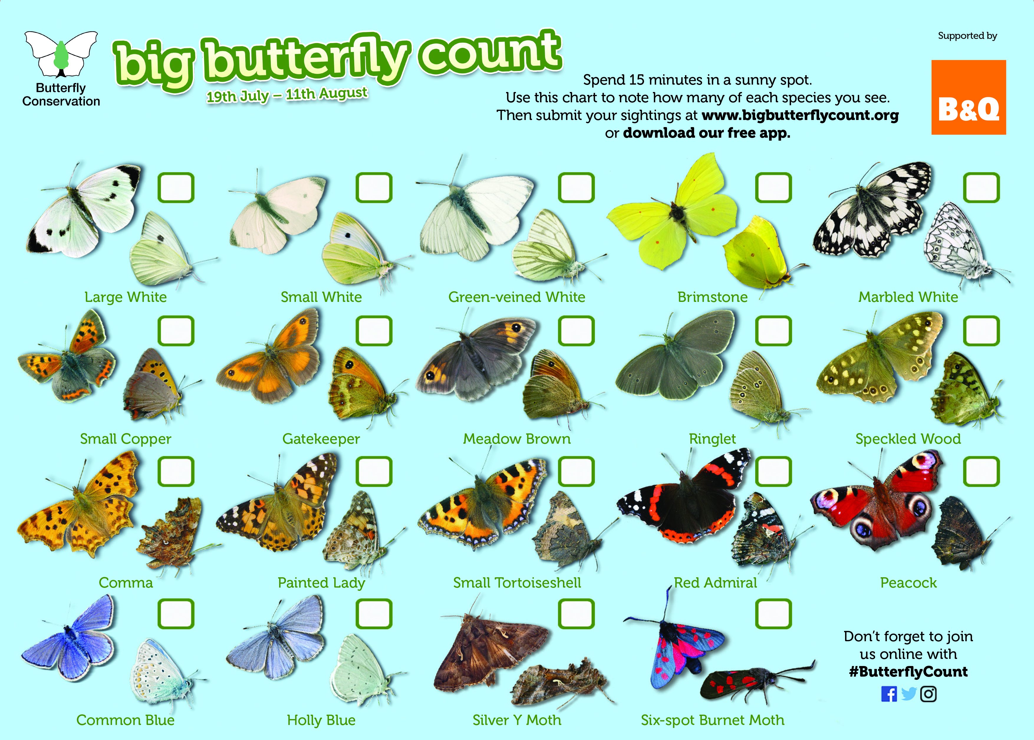 Wildlife lovers are asked to record 17 species of common butterfly and two day flying moths (Butterfly Conservation/PA)