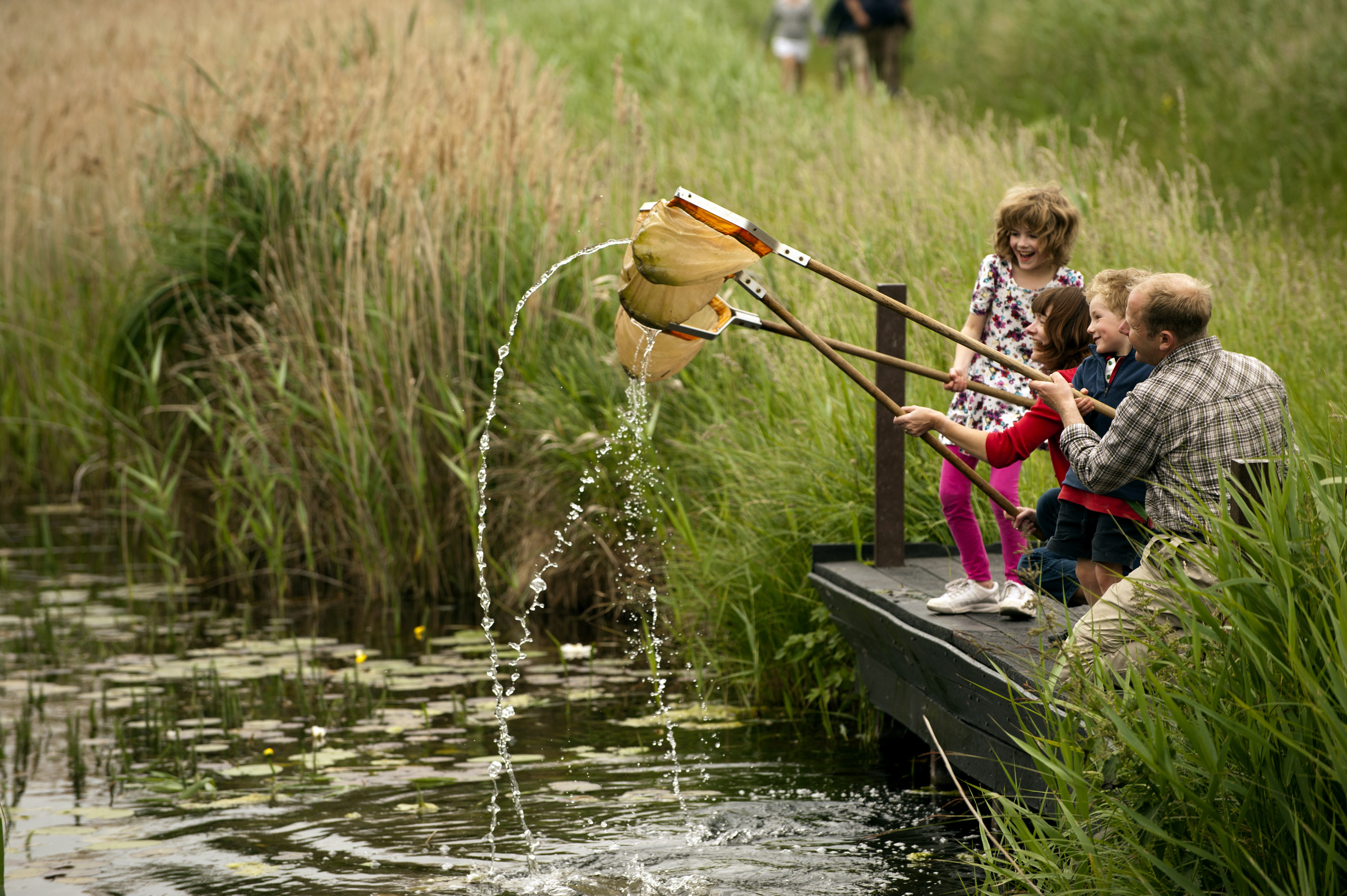 Pond-dipping at Wicken Fen (John Millar/National Trust Images/PA)