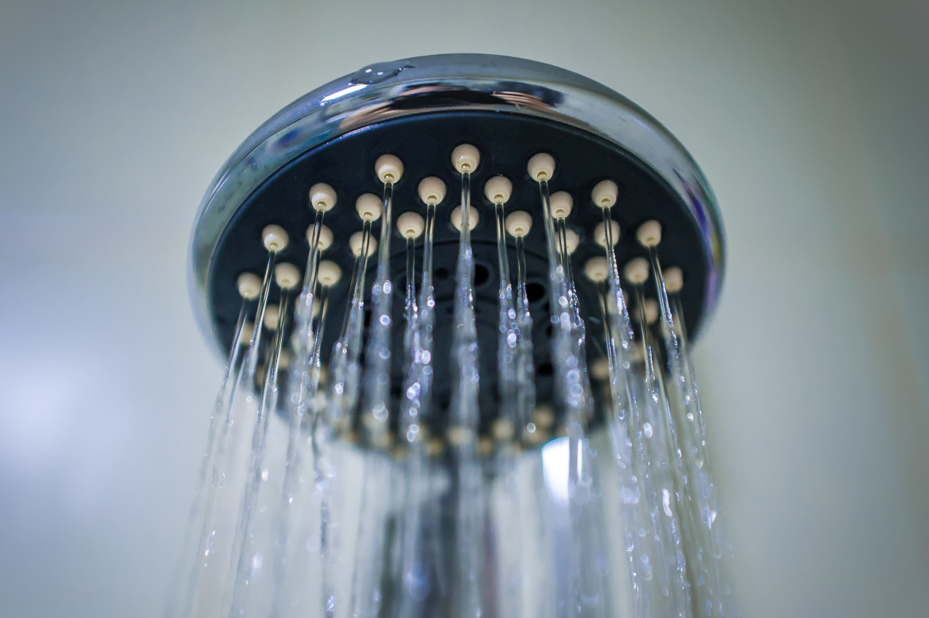 Shower head