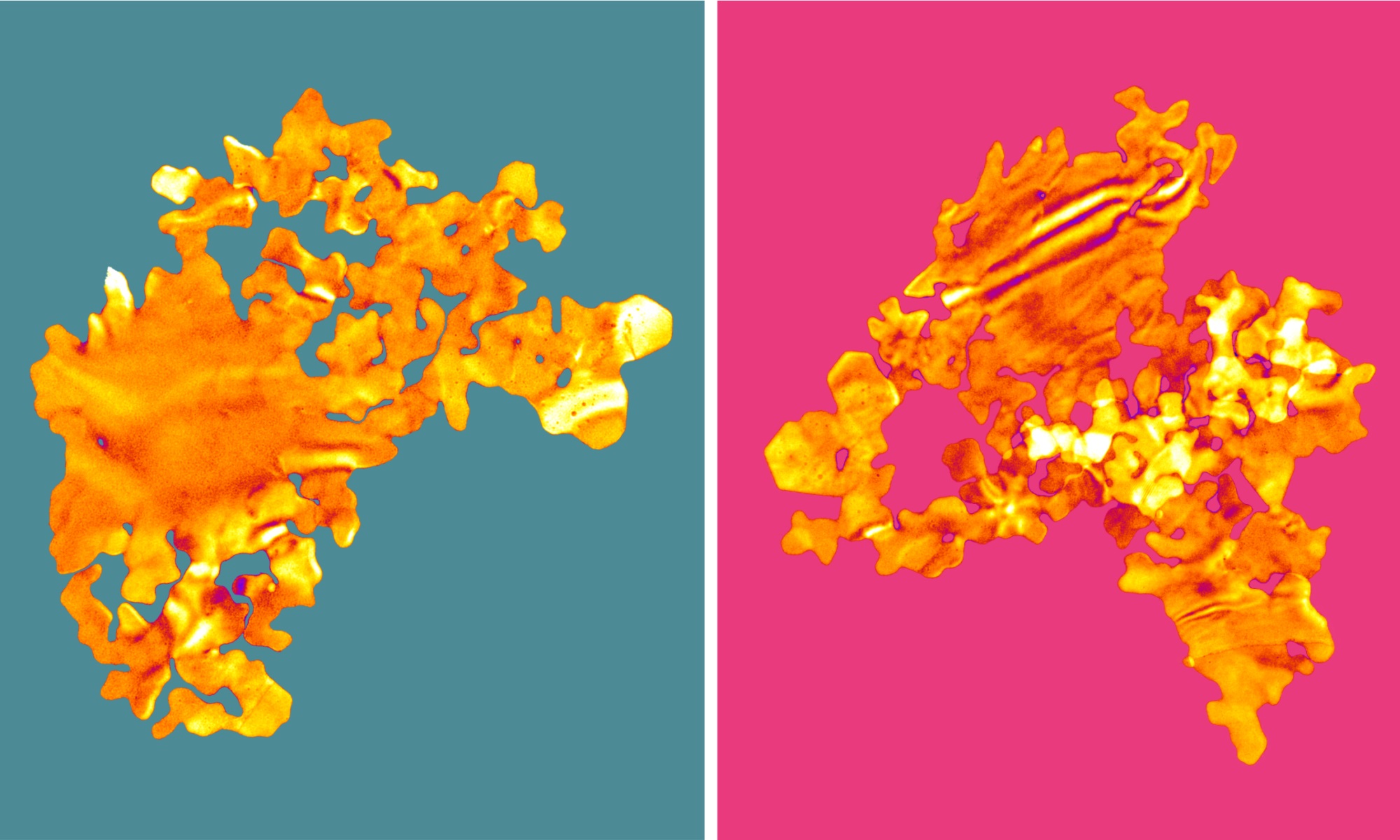 Gold nanosheets that are just two atoms thick