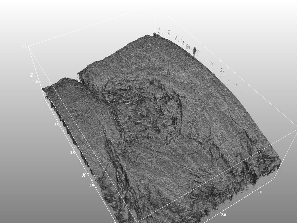 3D tissue print