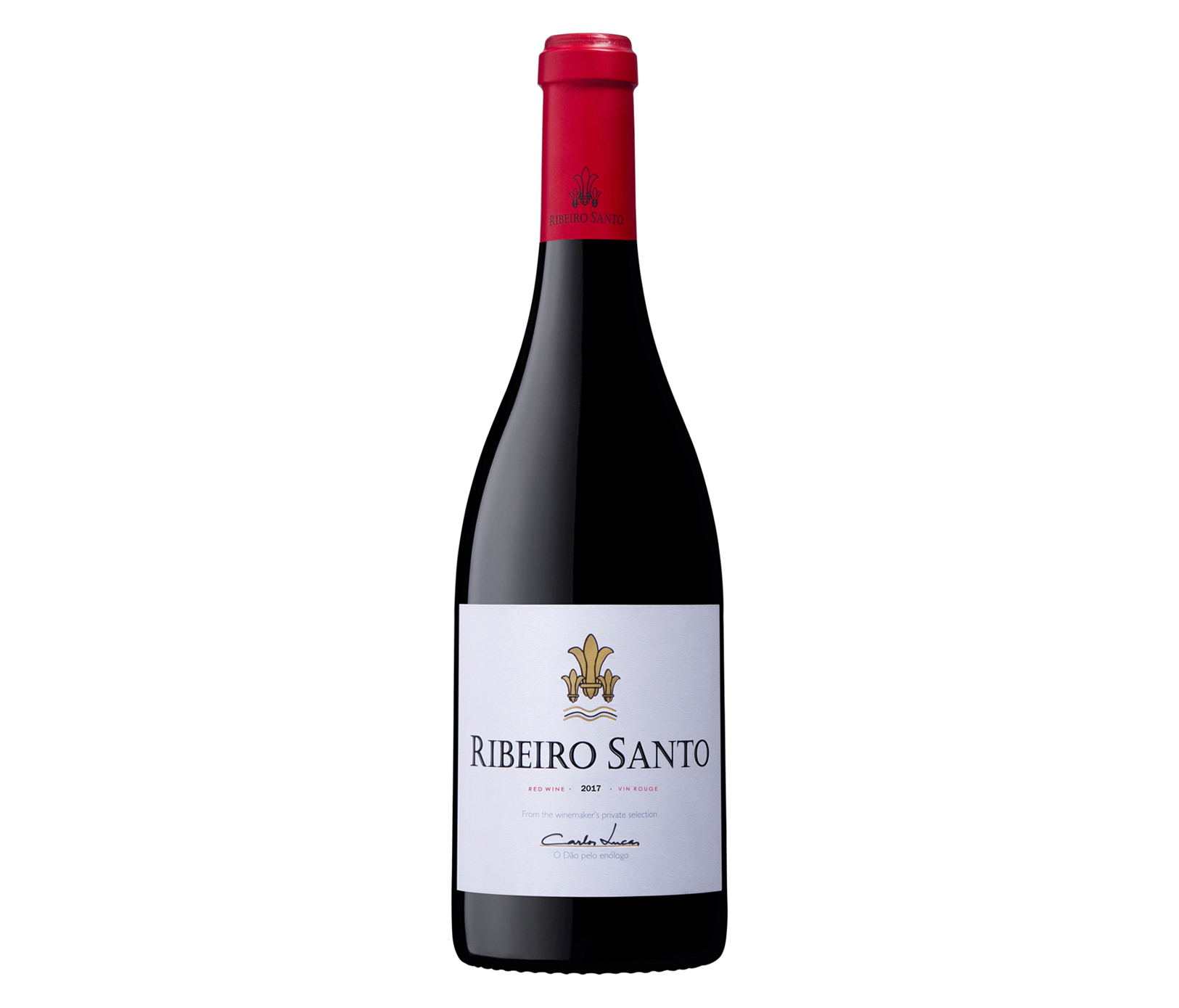 Carlos Lucas Ribeiro Santo, Dao, Portugal