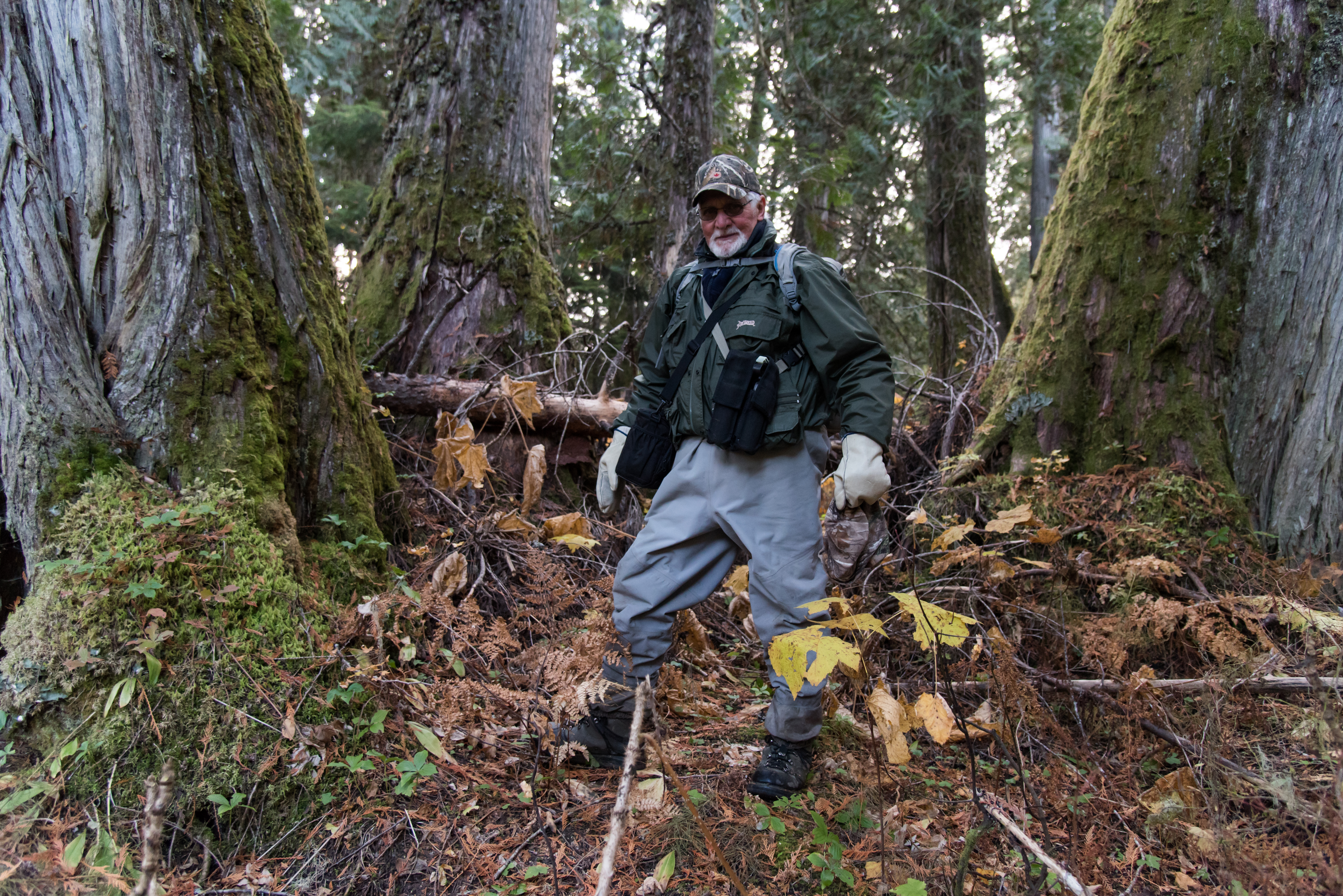 Gary Zorn, The Bear Whisperer, stands in an ancient cedar forest (Sarah Marshall/PA)